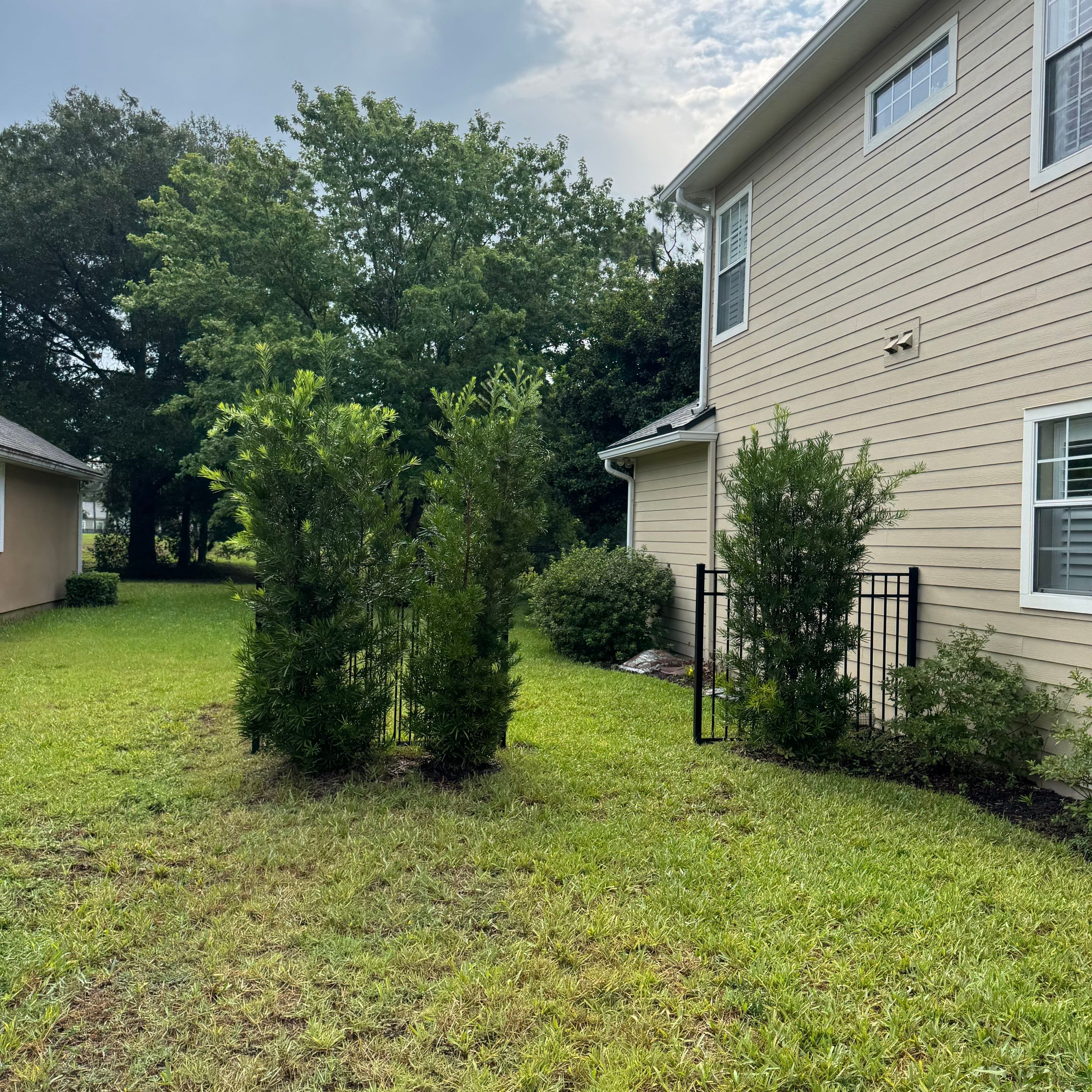 Residential | Sod Installation & Tree Trimming by ProGreen Services
