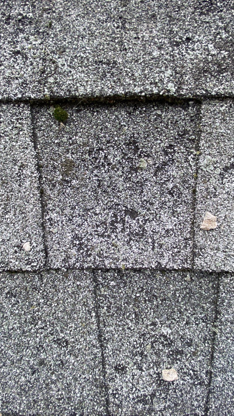 Save The Life Of Another Roof. Don’t Prematurely Replace Your Roof.  by Save My Roof,LLC