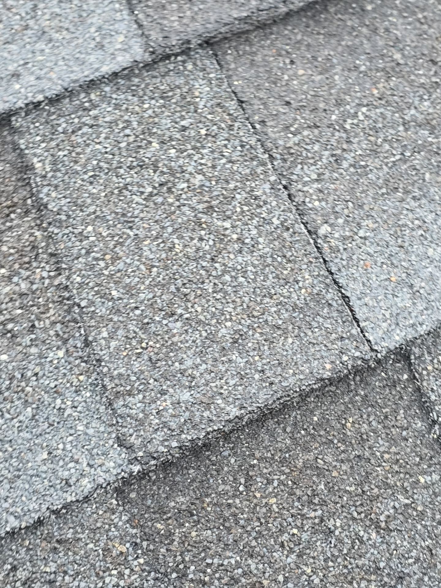Roof Rejuvenation using Roof Maxx Treatment by Roof Maxx of Folsom