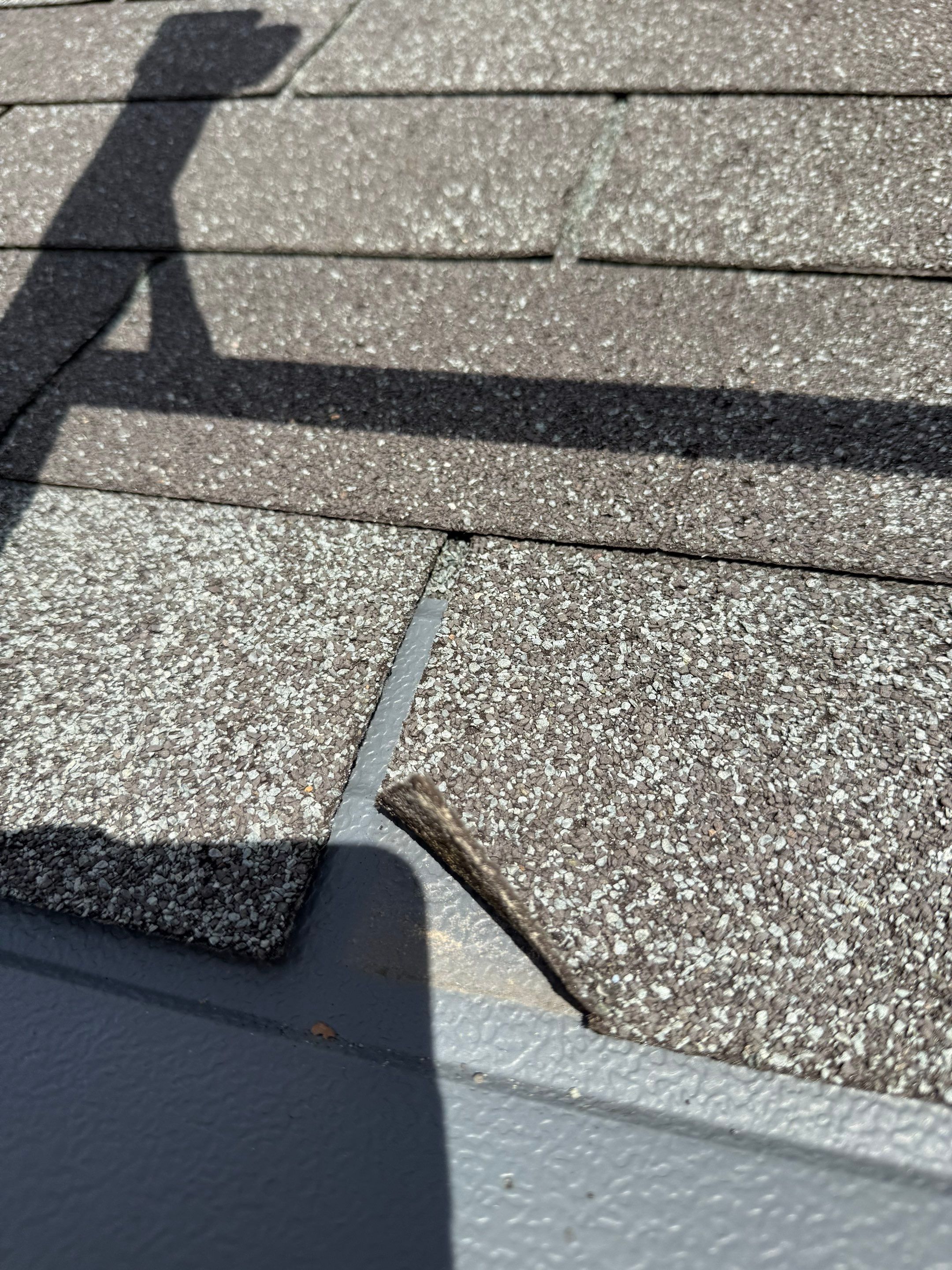 Project in Richmond by Roof Maxx of Midlothian