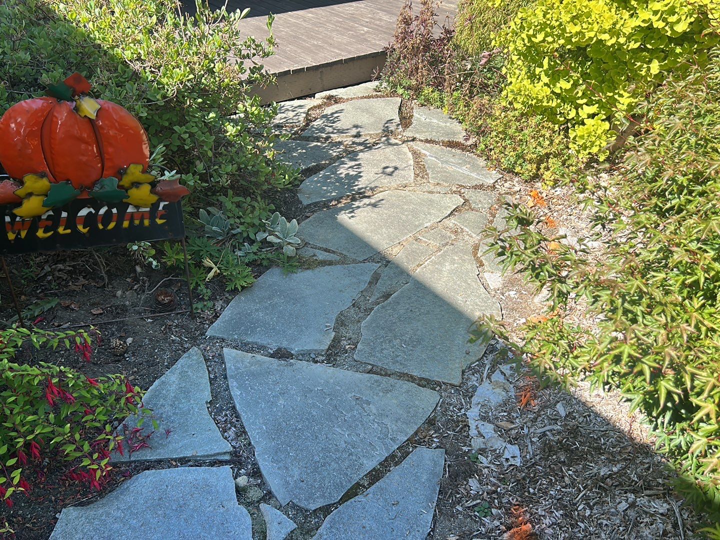 Edie | Concrete Driveway and Walkway  by Jireh Asphalt & Concrete Inc 