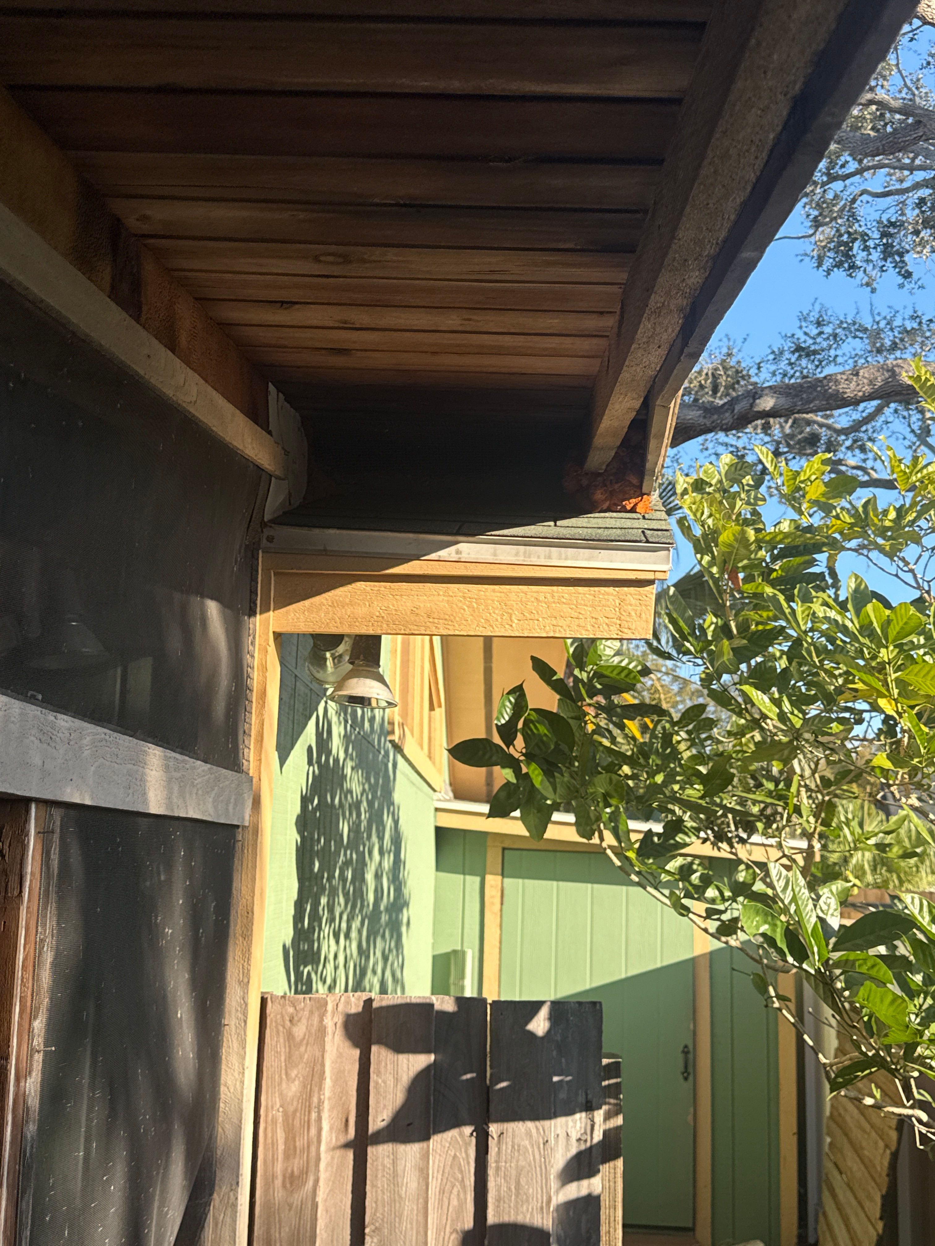 Project in St. Petersburg 33705 by Mitchell Roofing Company LLC