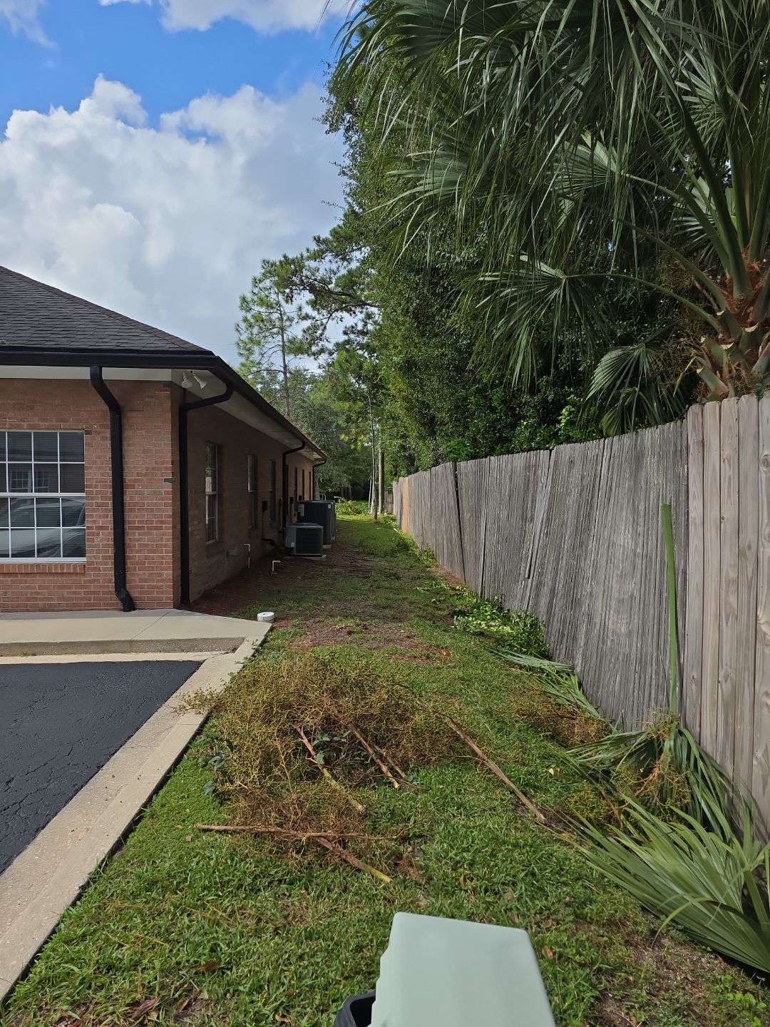 Commercial Property | Tree Removal & Trimming by ProGreen Services