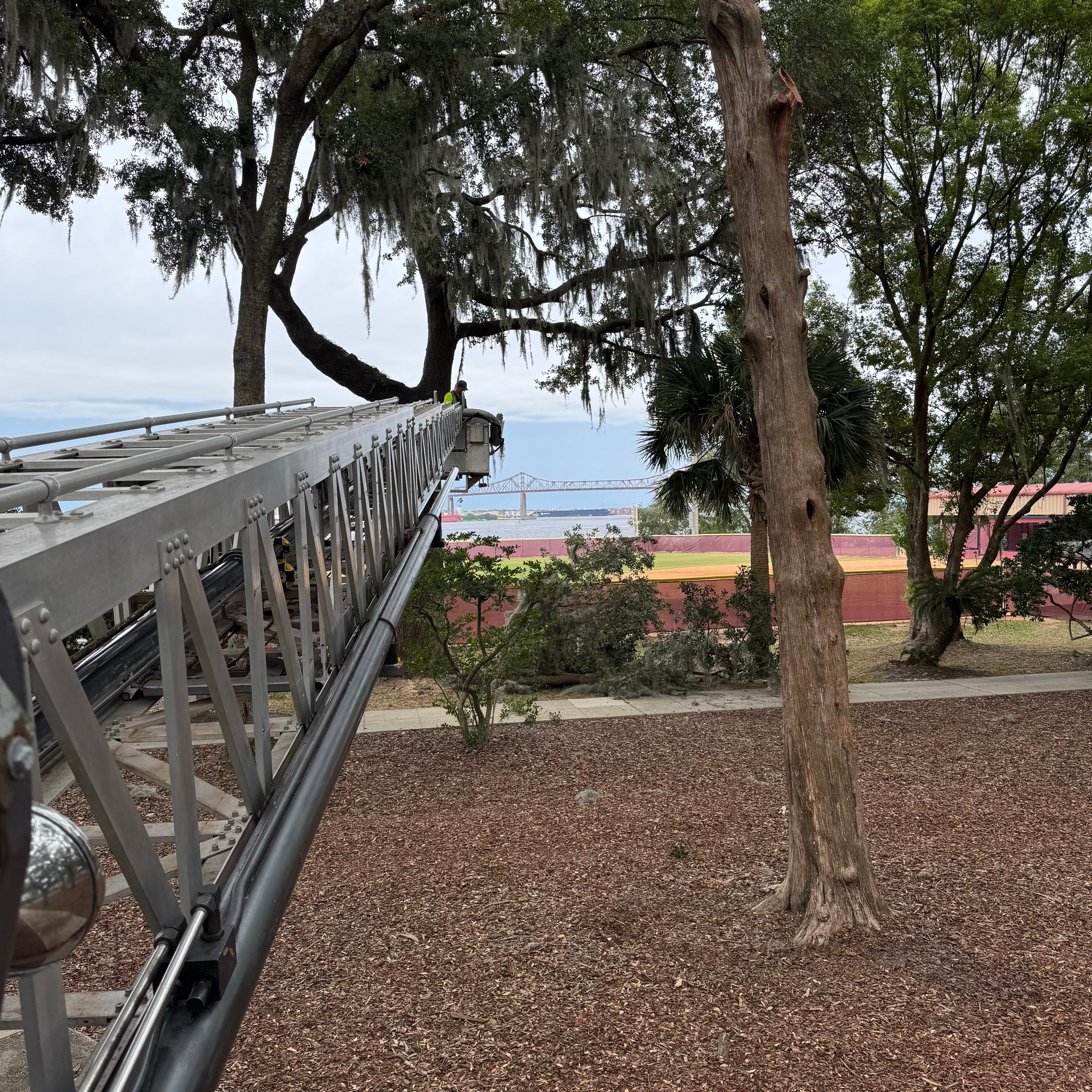 Volunteer Work | Episcopal High School of Jacksonville by ProGreen Services