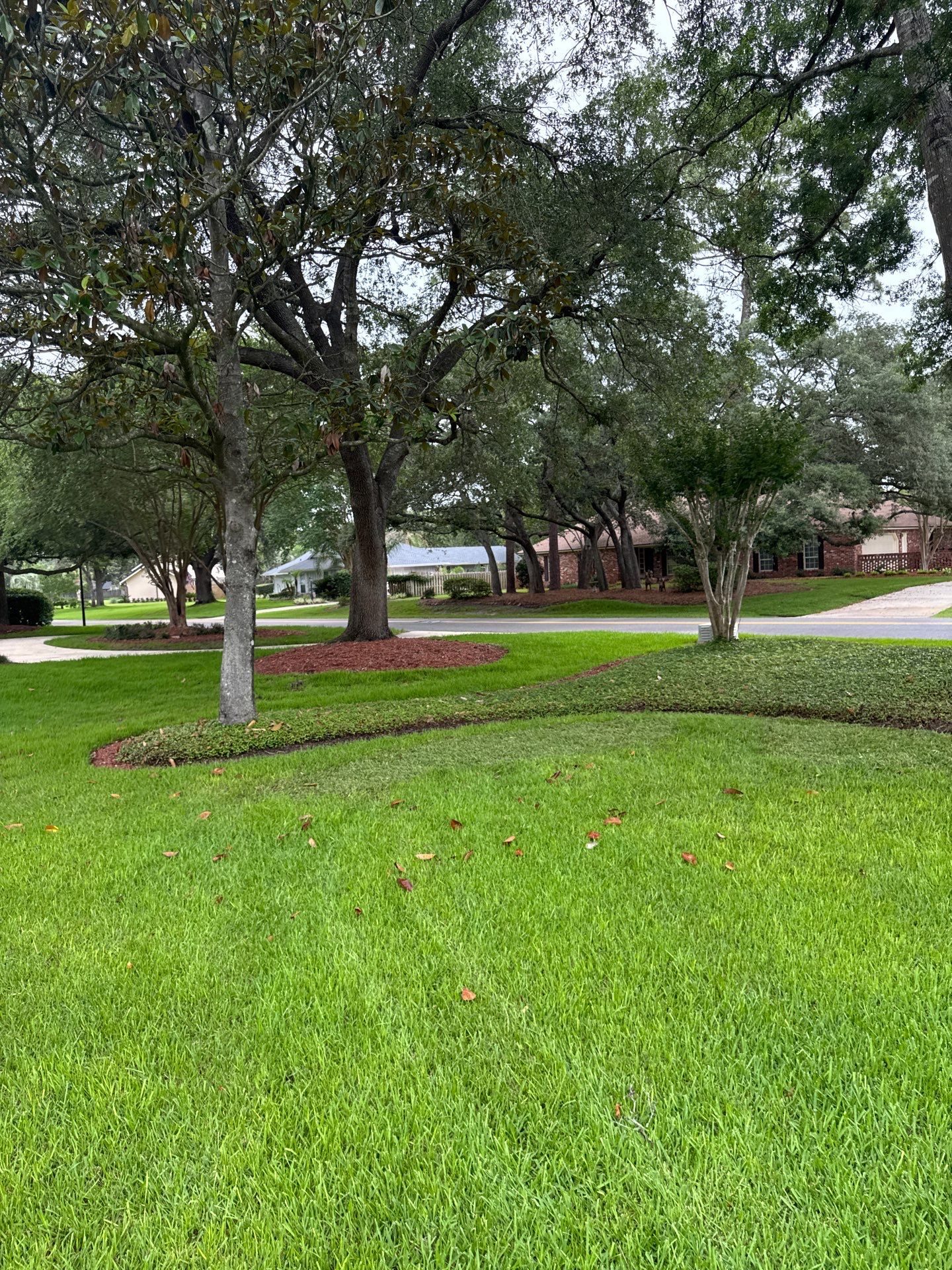 Deerwood Resident | Sod & Plant Installation by ProGreen Services
