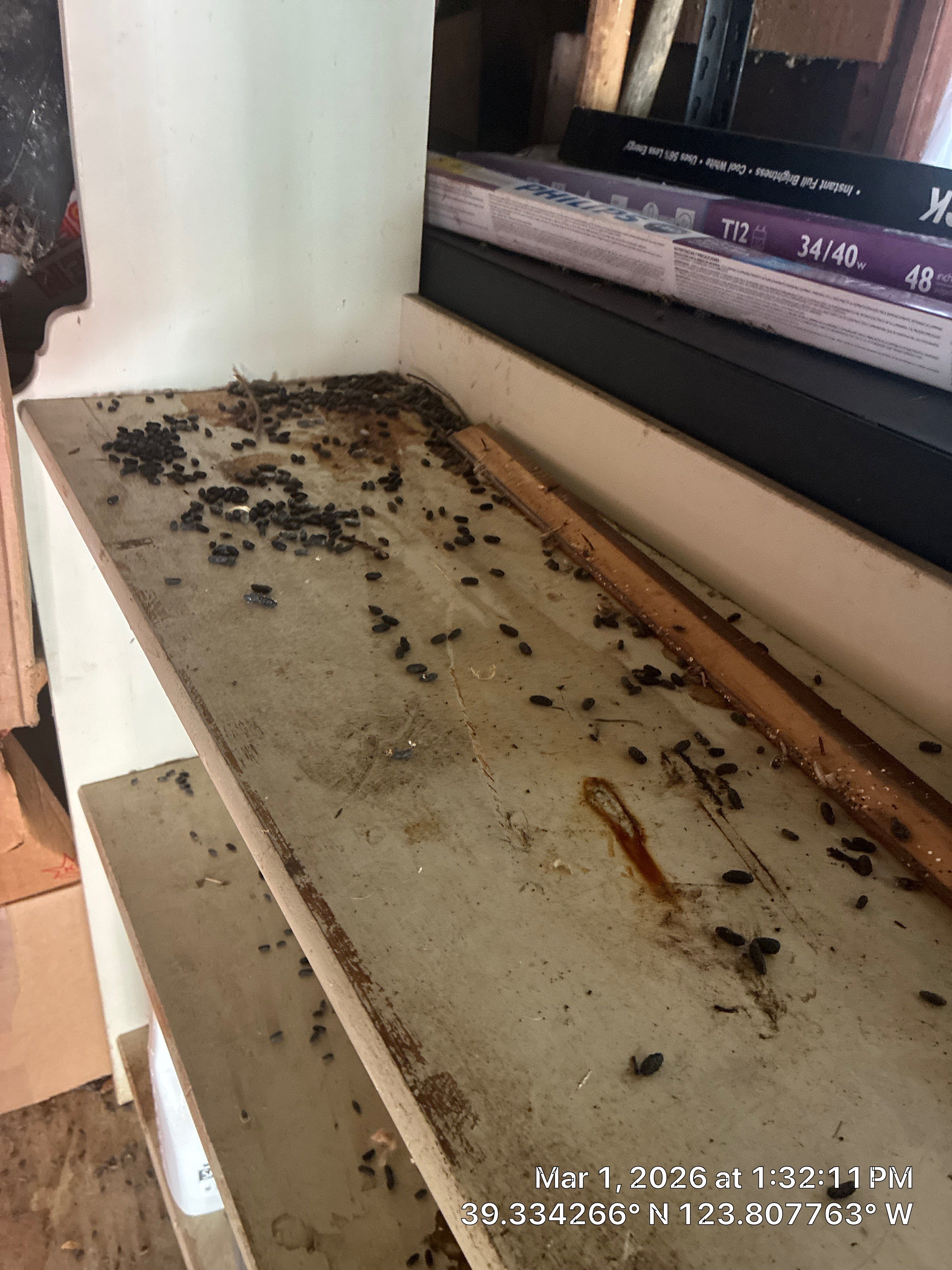 Project in Mendocino by 911 Hazmat Cleanup 