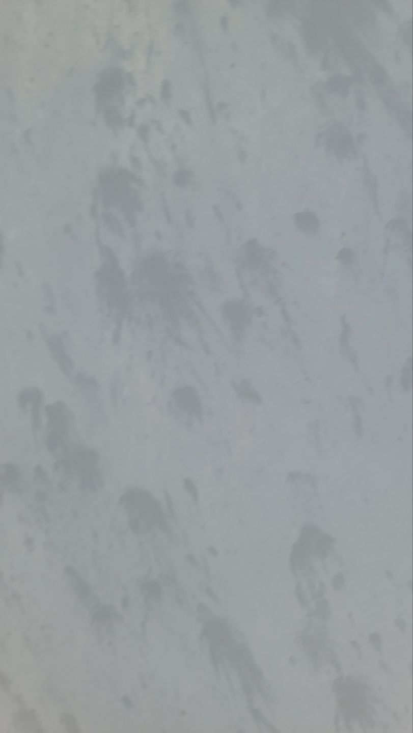 Commercial Roof Replacement – PBR Metal Panels After Hail Damage by ASAP Roofing & Restoration