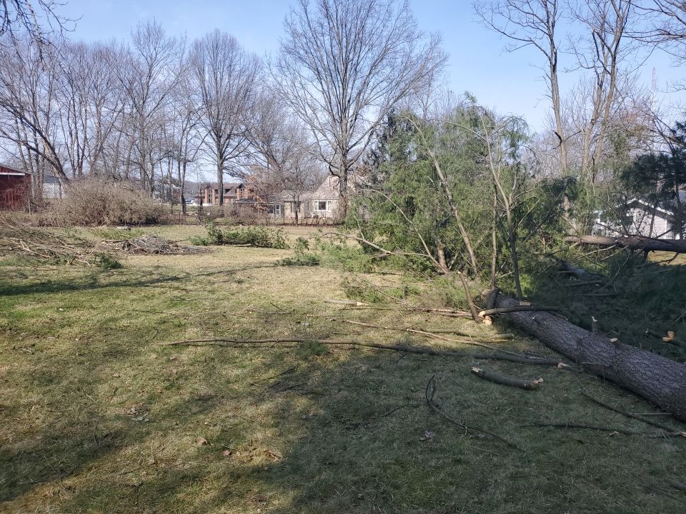 Tree Removal using Tree Removal by Mike Jones & Sons Tree Service LLC 