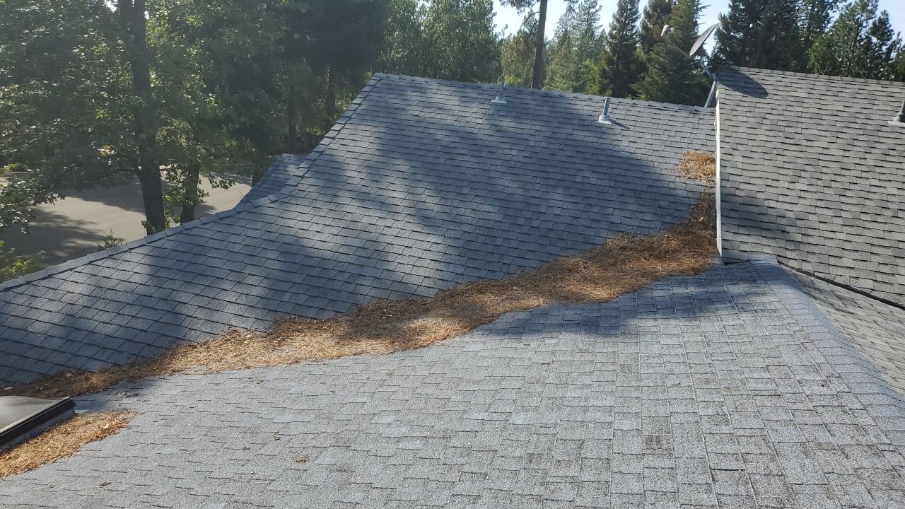 Attic Insulation, Roofing, and Solar for this in-town home by Byers Enterprises 