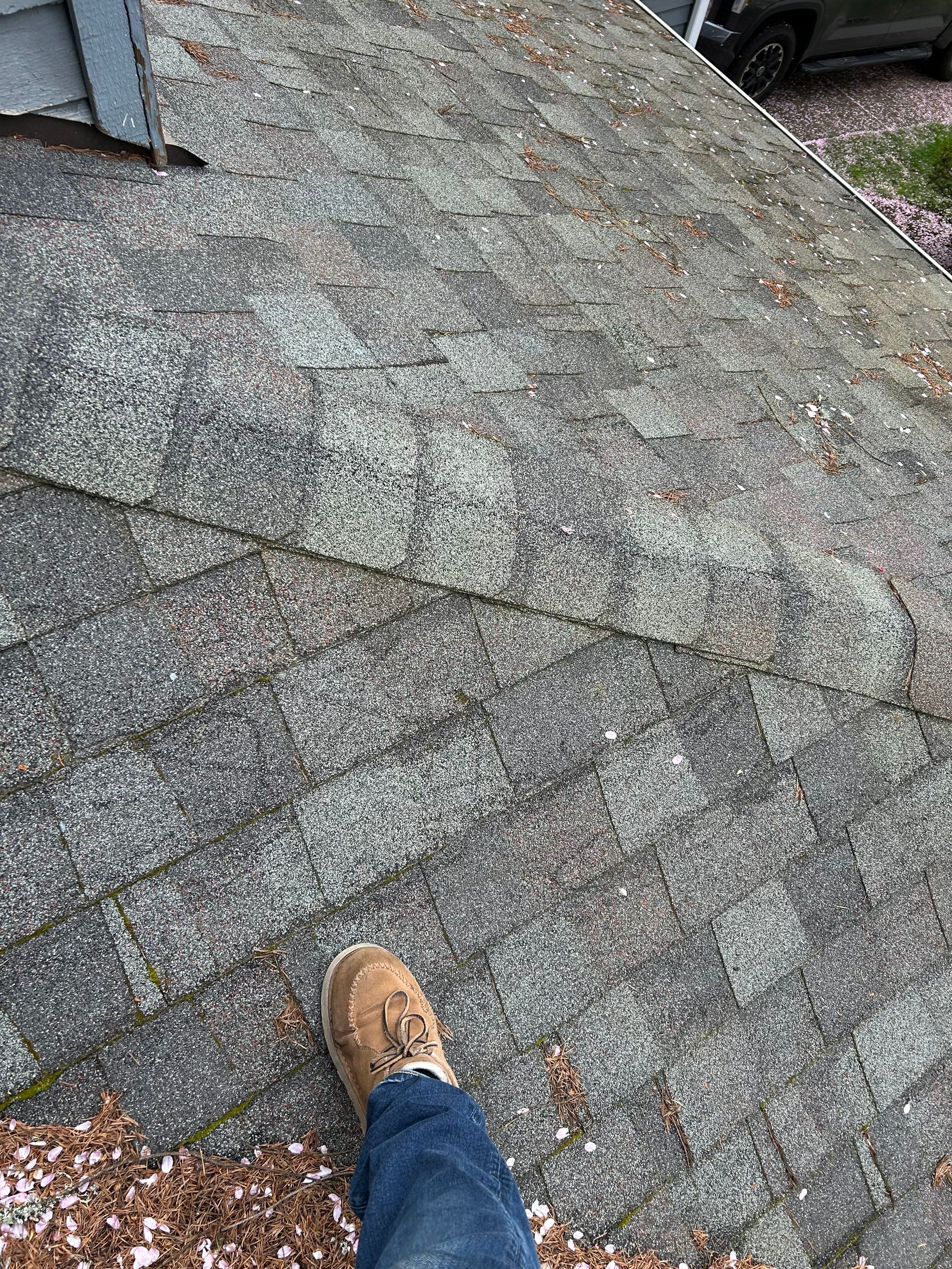 Project in Redmond by Connolly Construction Company