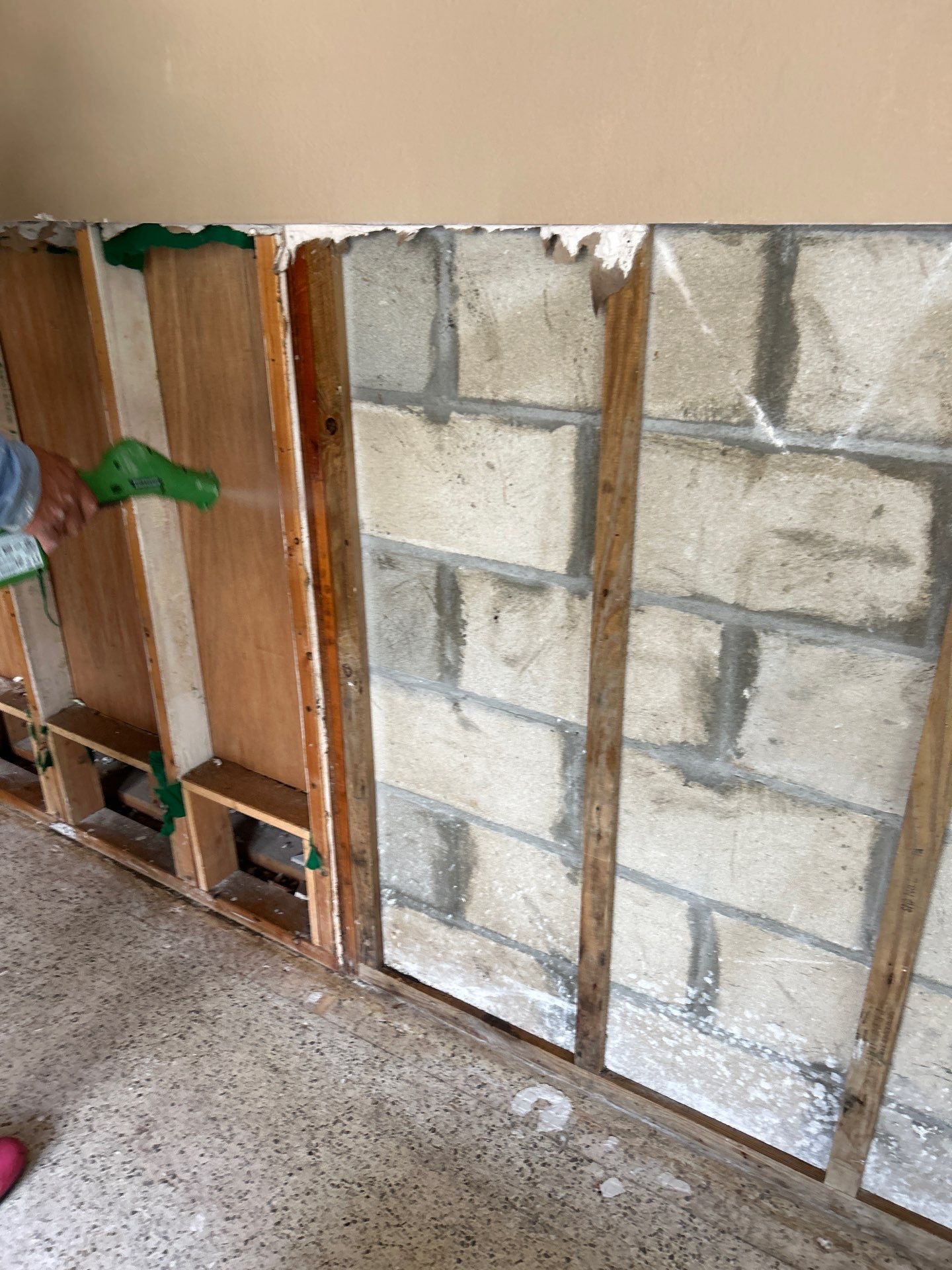 Mold Remediation + Reconstruction Bradenton by Ampm Restoration Services