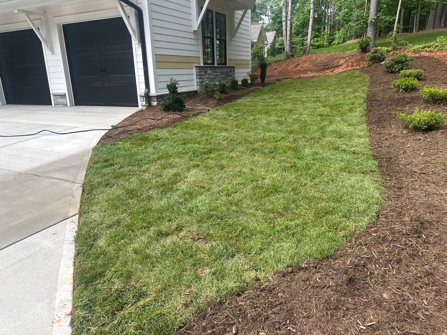 New Construction in Denver by Growing Edge Landscape & Design, Inc.