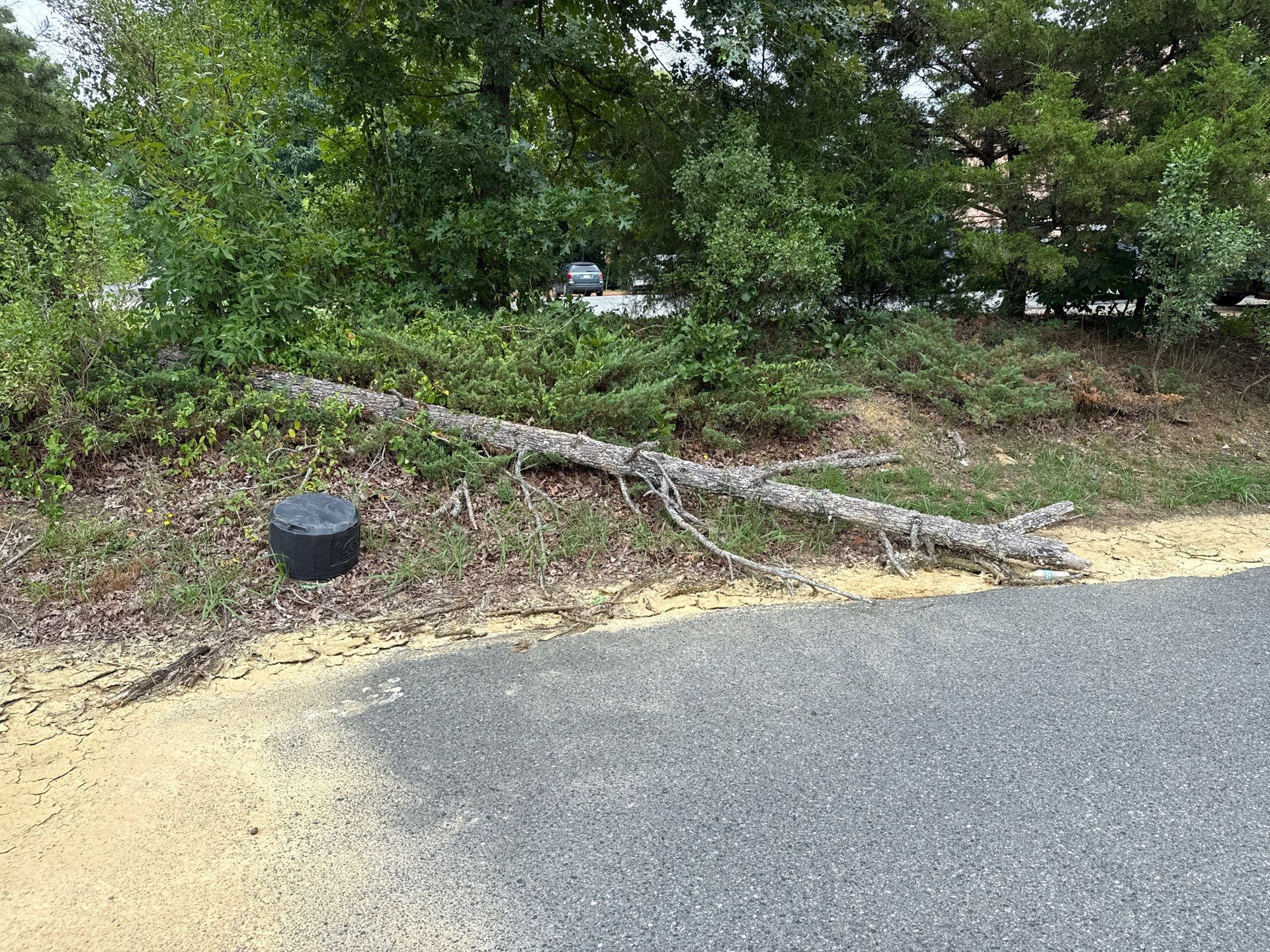 Project in Indian Trail by Badger Hauling