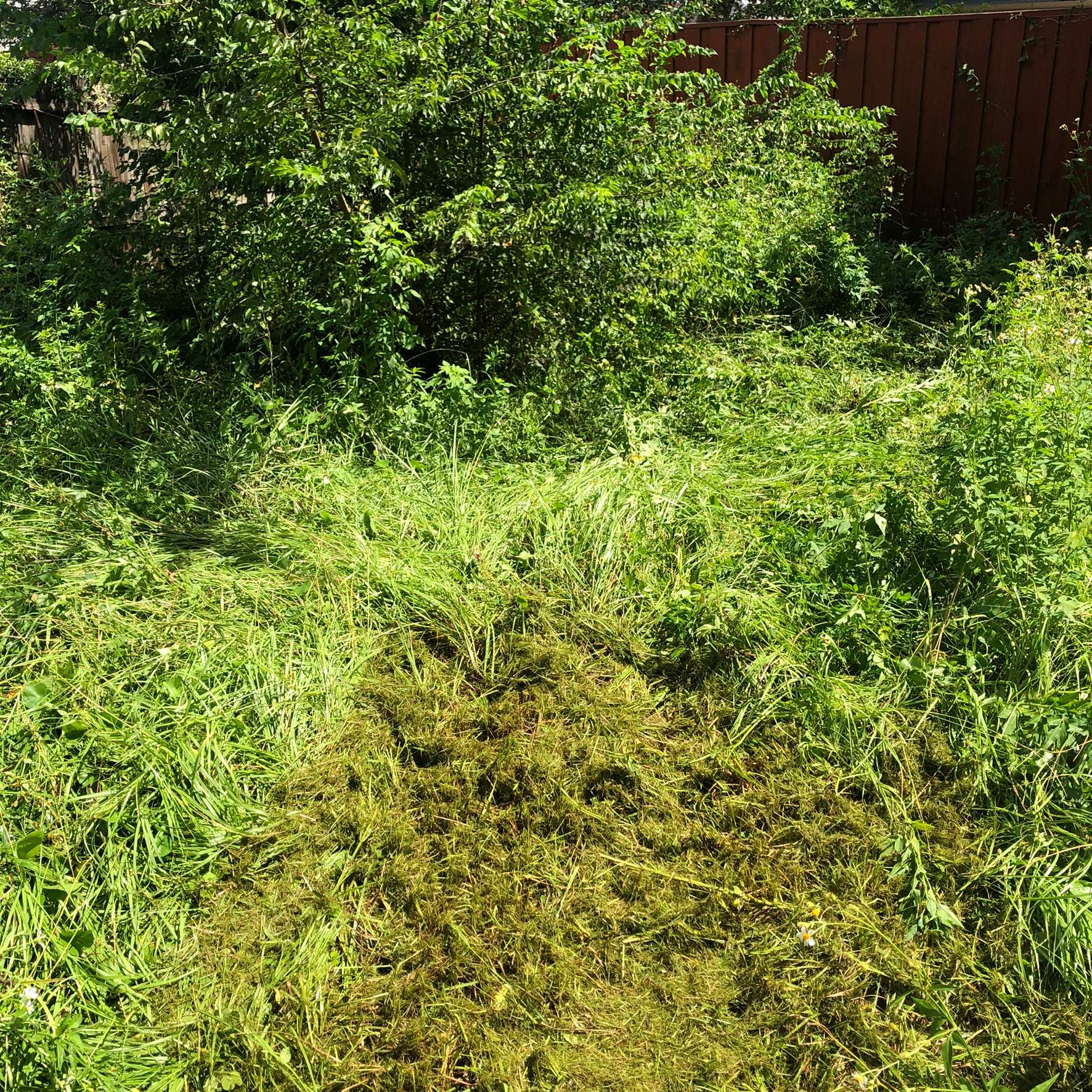 Extreme Clean Up | Riverside Area by ProGreen Services