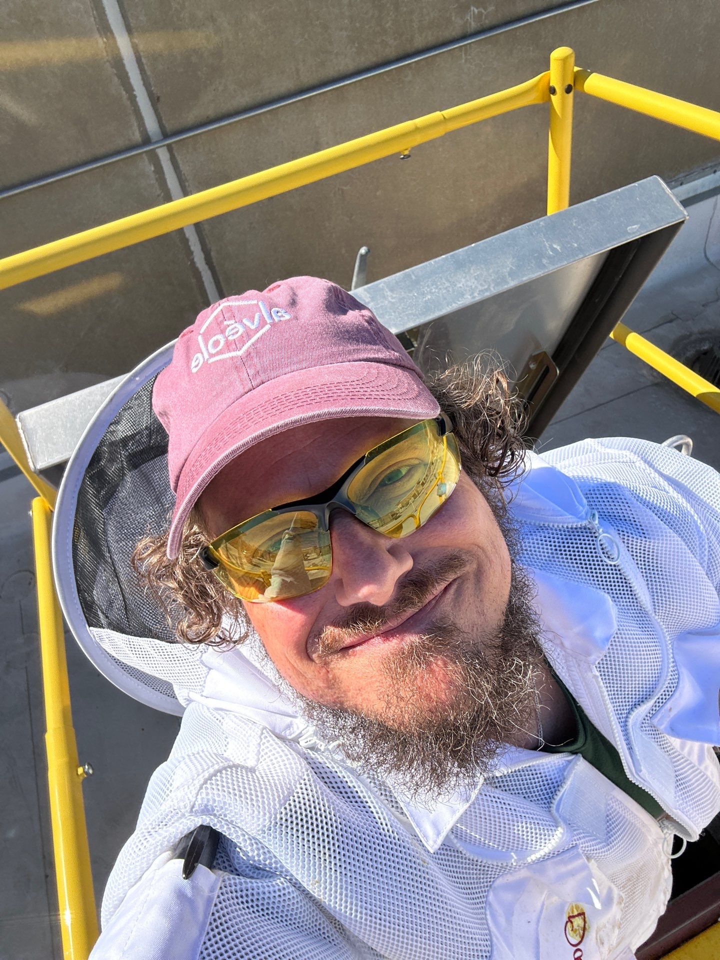 Anchovies on your Apiary by Rockwall Honey Bee Company