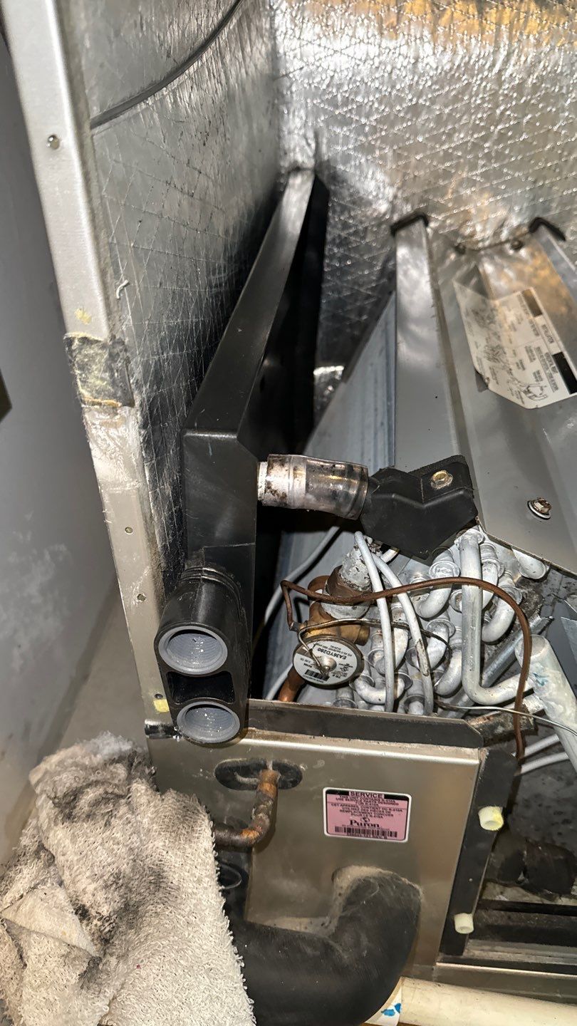 Air Duct Cleaning in Tavares by Hygienic Air, Inc
