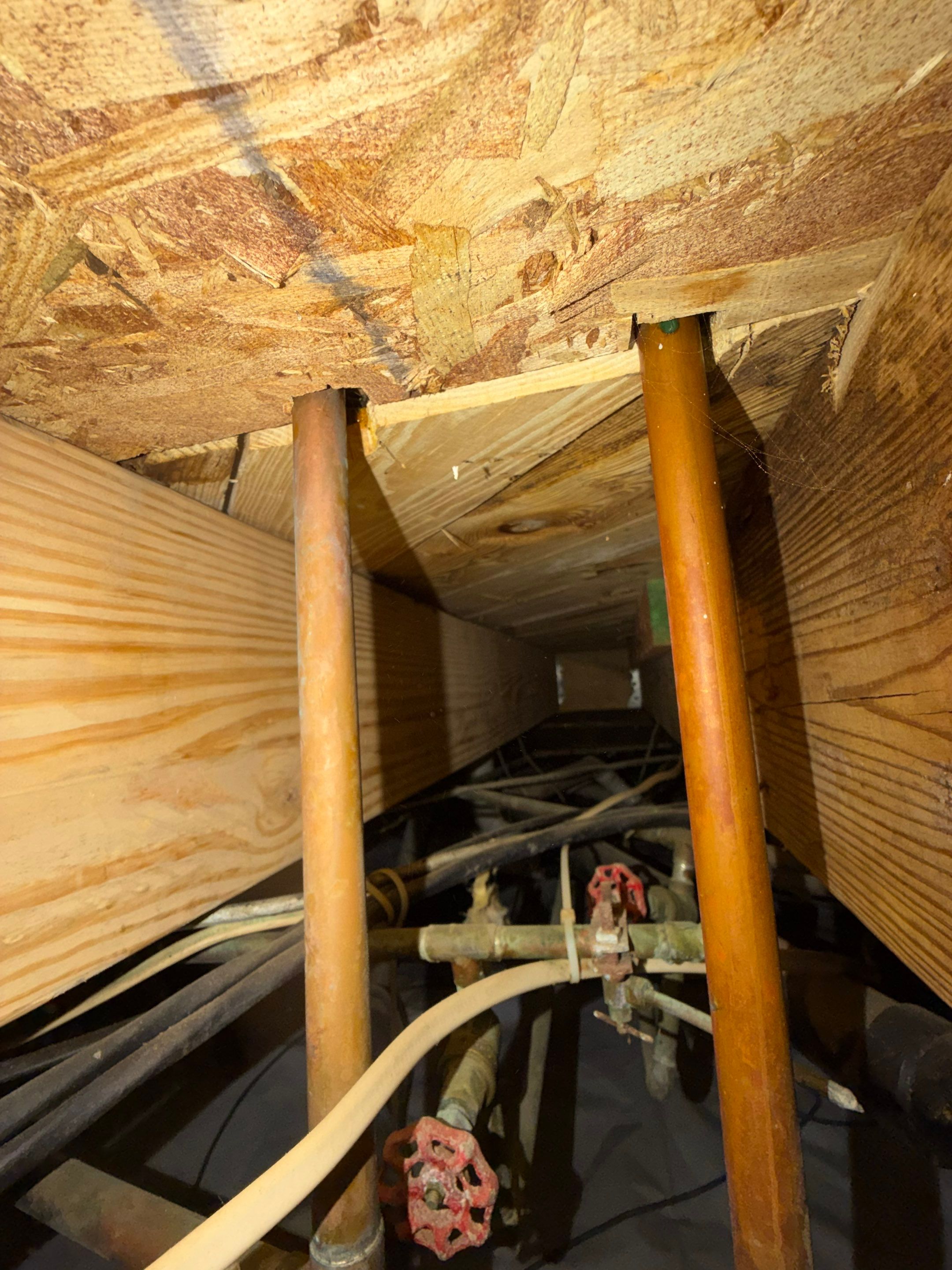 Project in Smithfield by Patriot Crawl Space Repairs