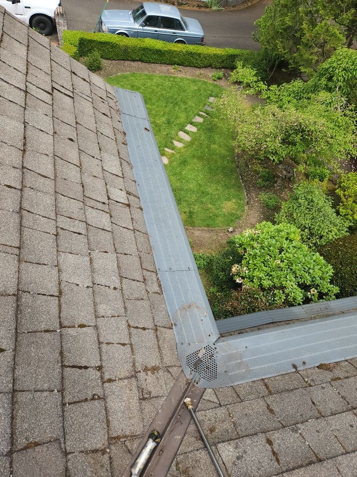 Moss Treatment using Biocide by Willamette Outdoor Wash LLC