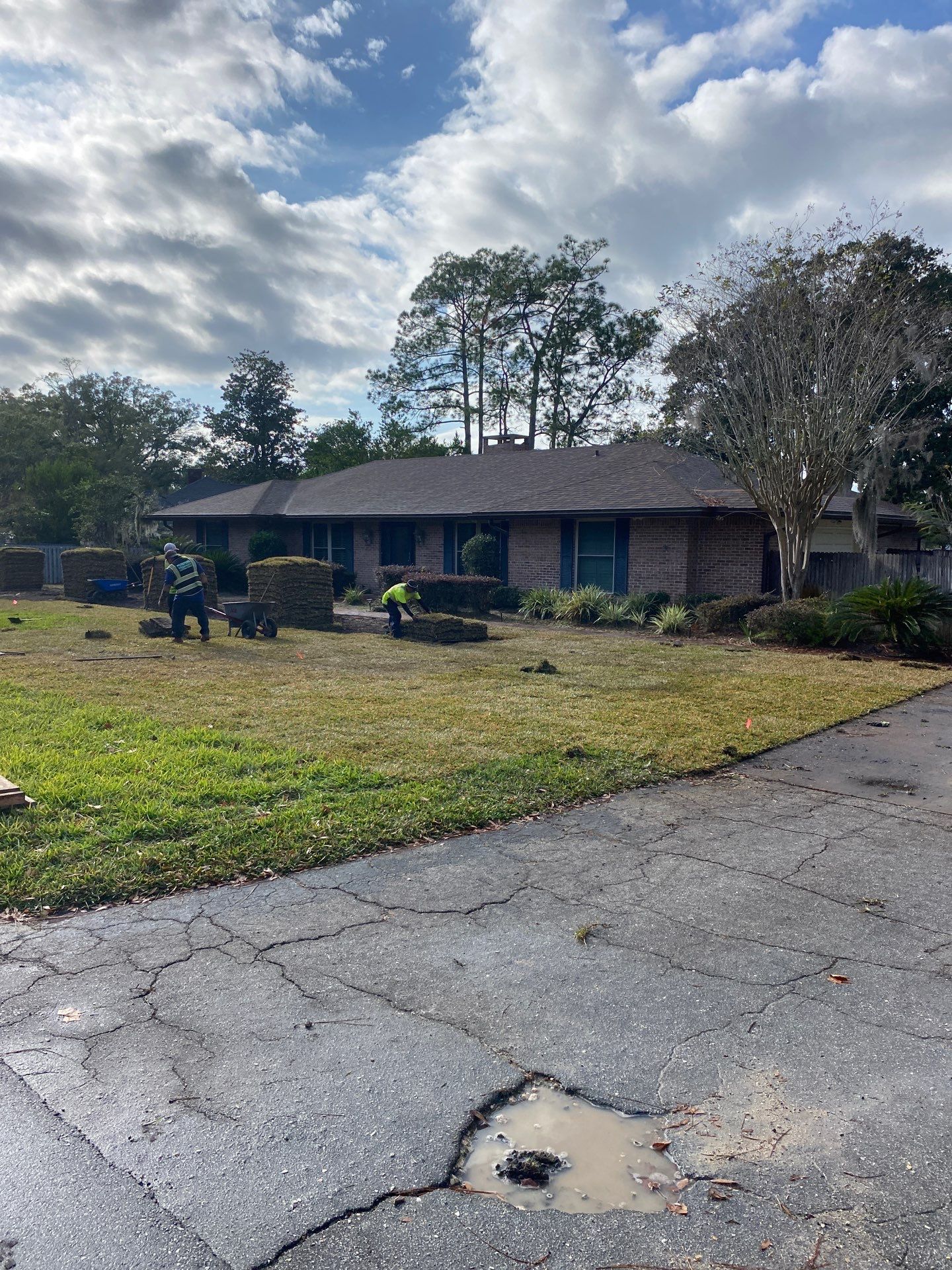 Deerwood Resident | Sod Replacement by ProGreen Services