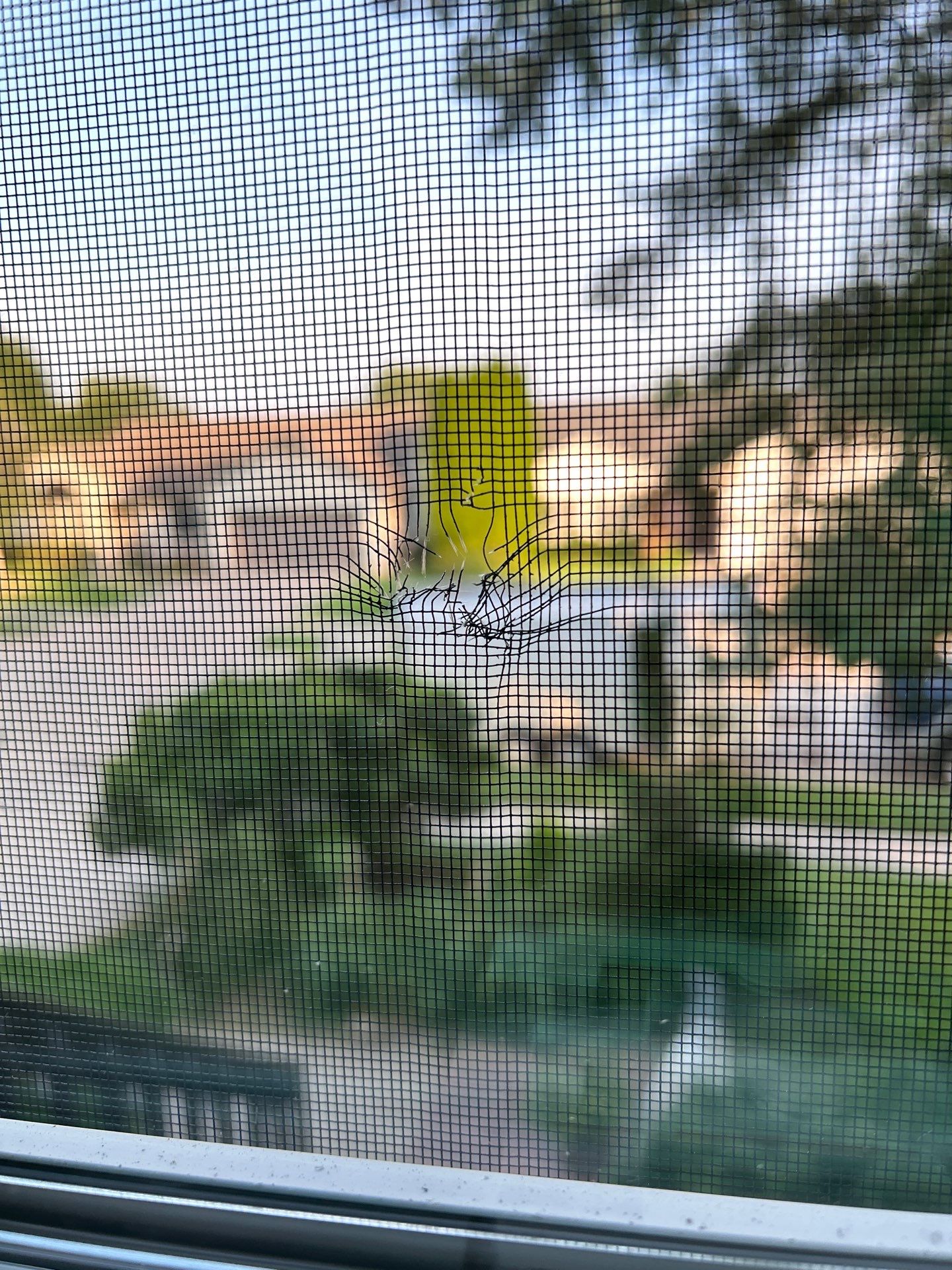 Upgrade Your Home with Pella 250 Series White Vinyl Windows by United Windows and Siding LLC