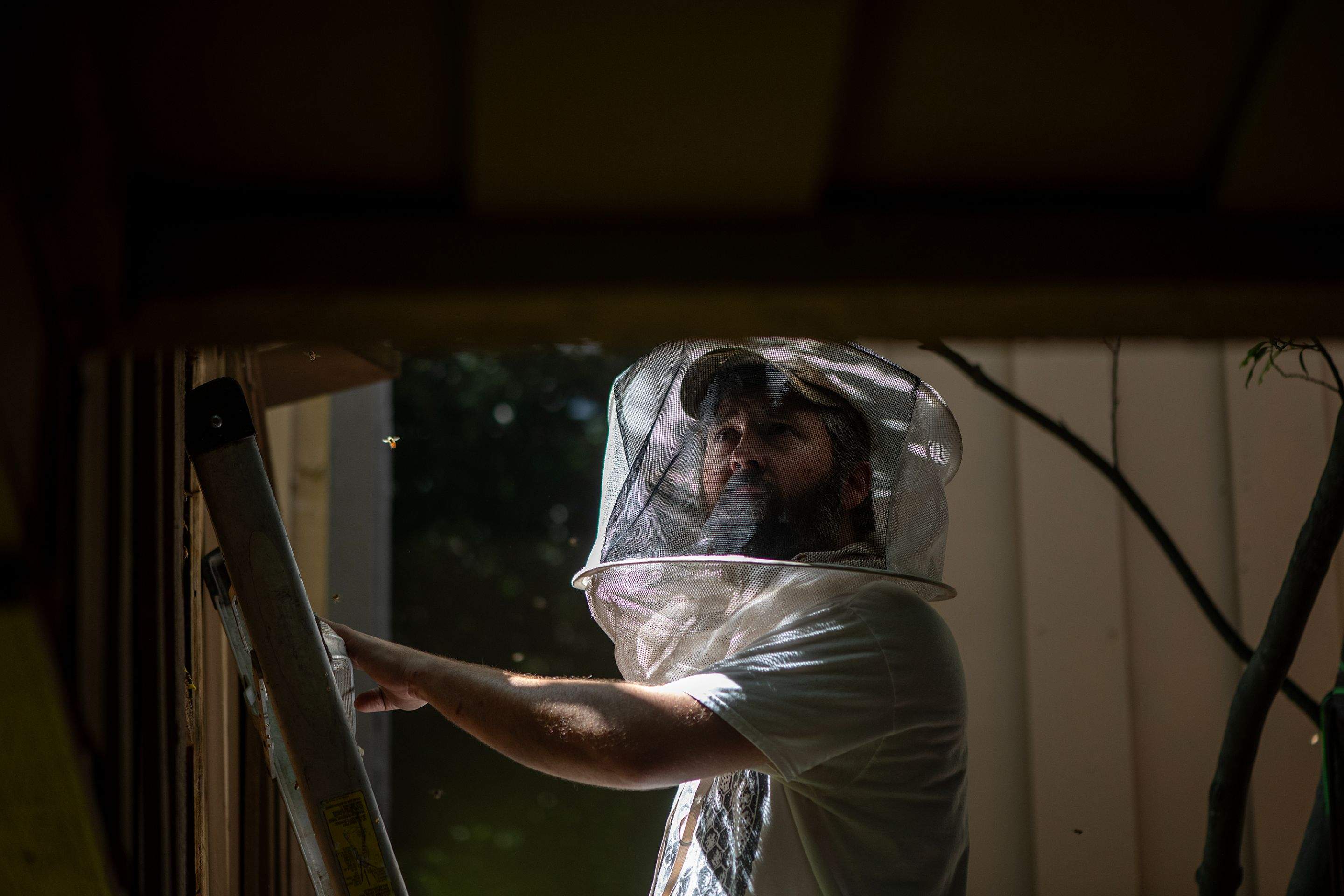 Condo Patio by Rockwall Honey Bee Company