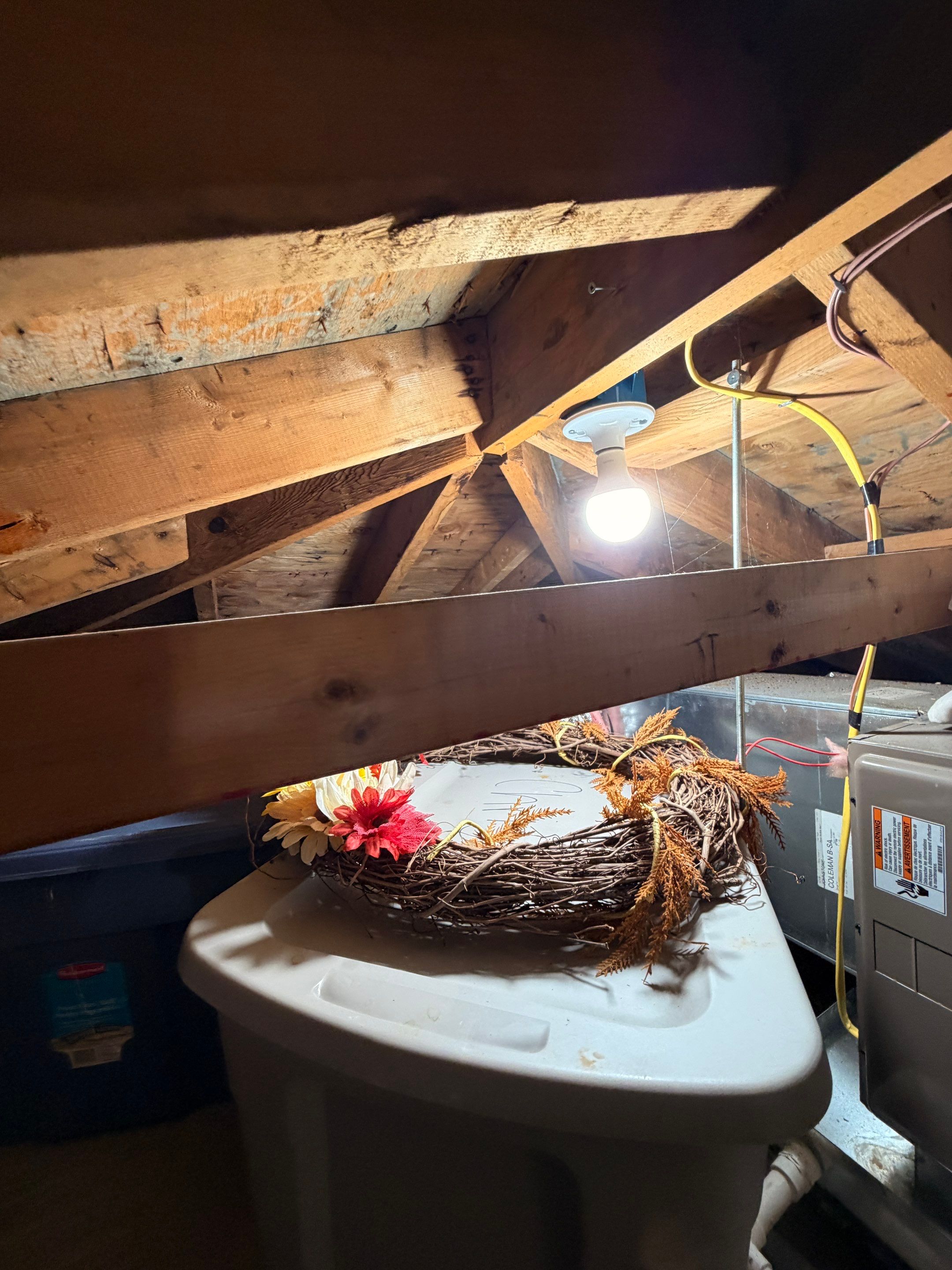 Attic Mold Remediation and Insulation Installation in Ronkonkoma by Newhouse Restoration