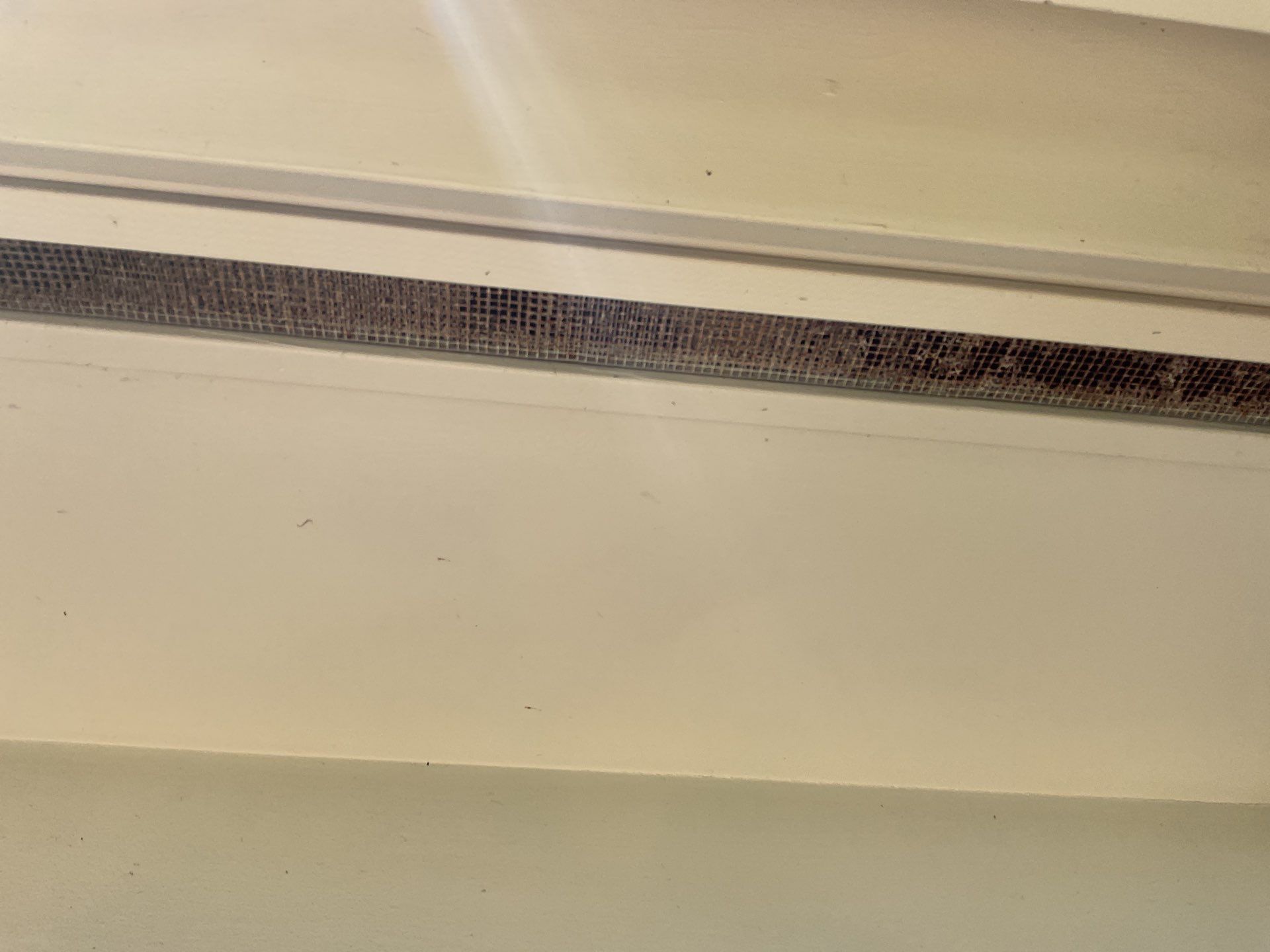 Ventilation Replacement Gutters in Longboat FL by Gutter Professors