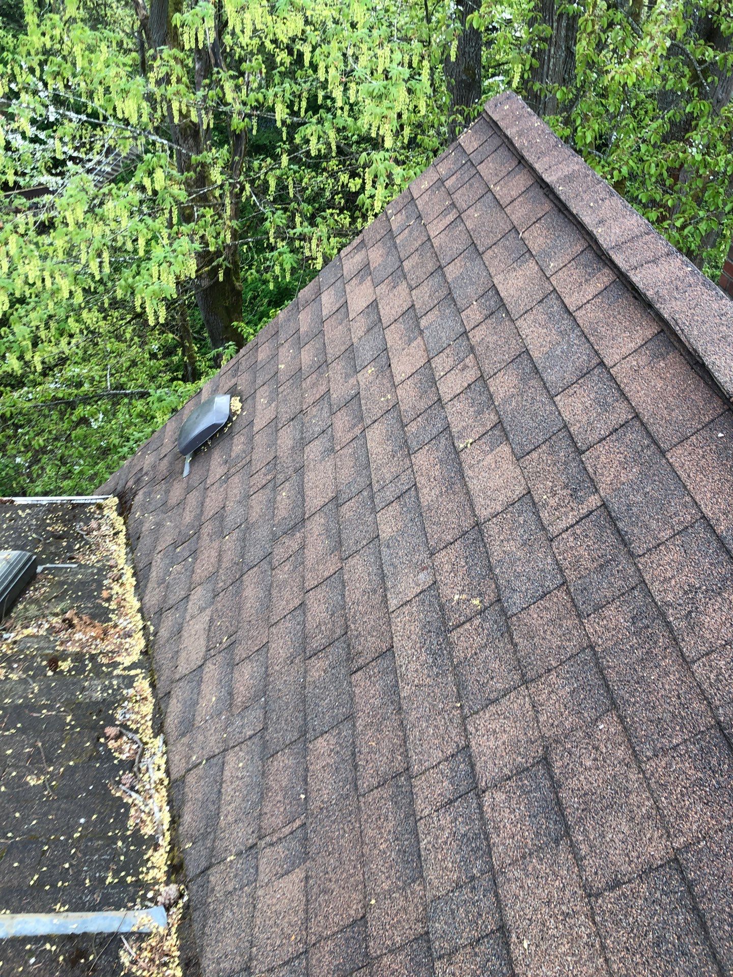 Project in Seattle by Peaks and Valleys Construction