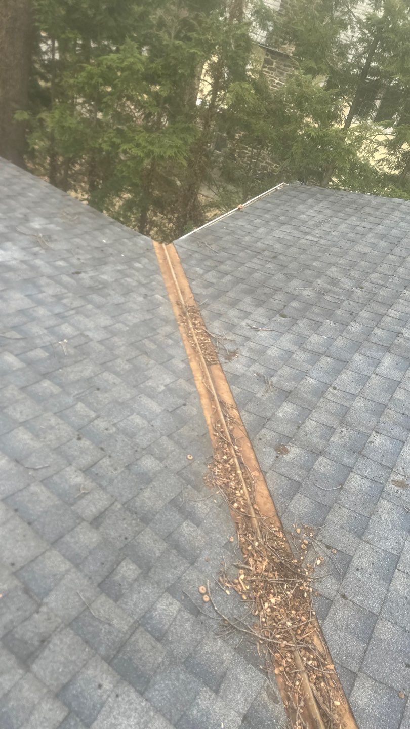 Bronx Roof and Gutter Cleaning by Above All Gutters