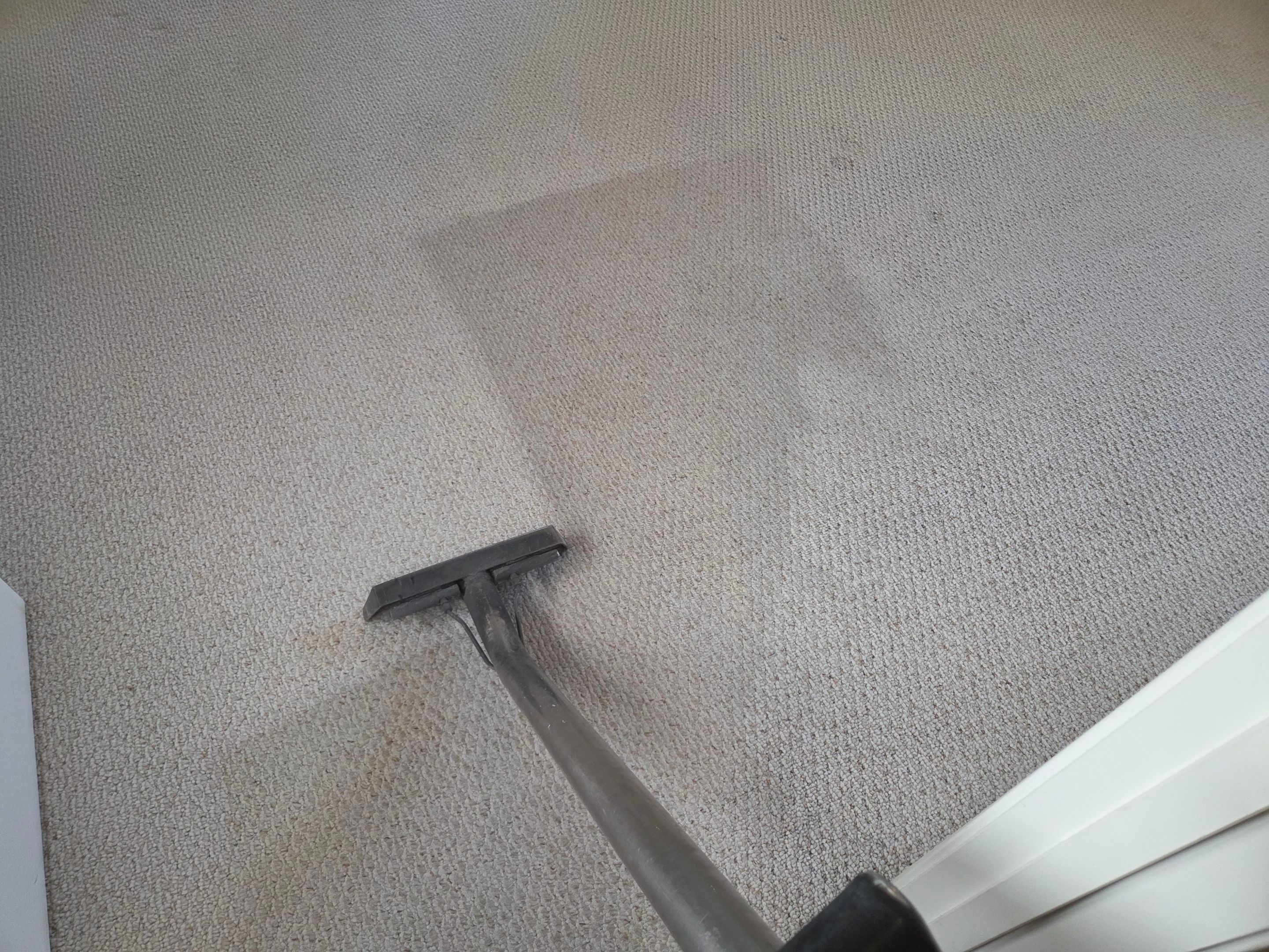 Heavy Carpet Cleaning for a Listing by Ardent Carpet Restore LLC
