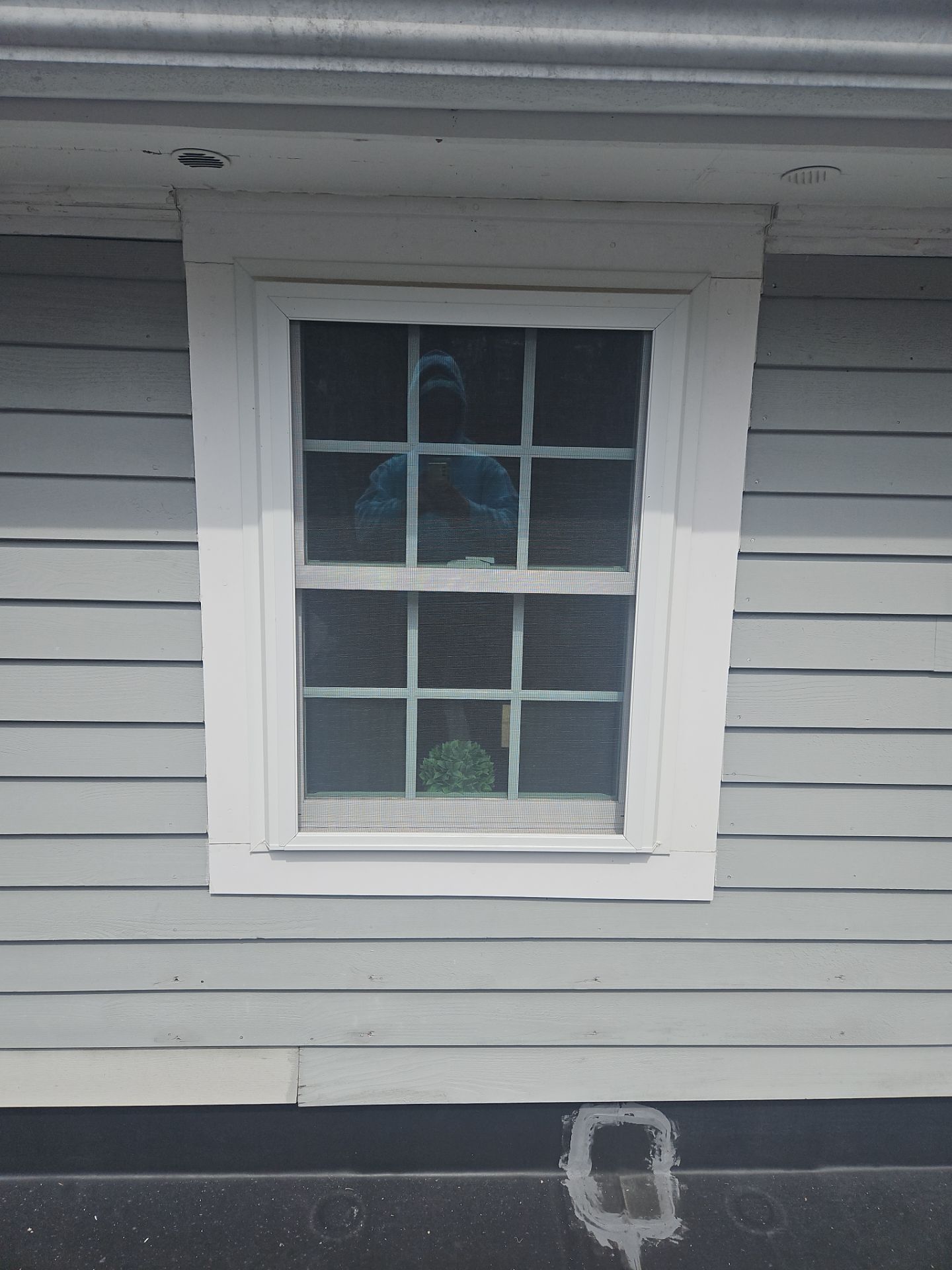 Roofing & Windows | Littleton by Mighty Dog Roofing of Greater Middlesex County