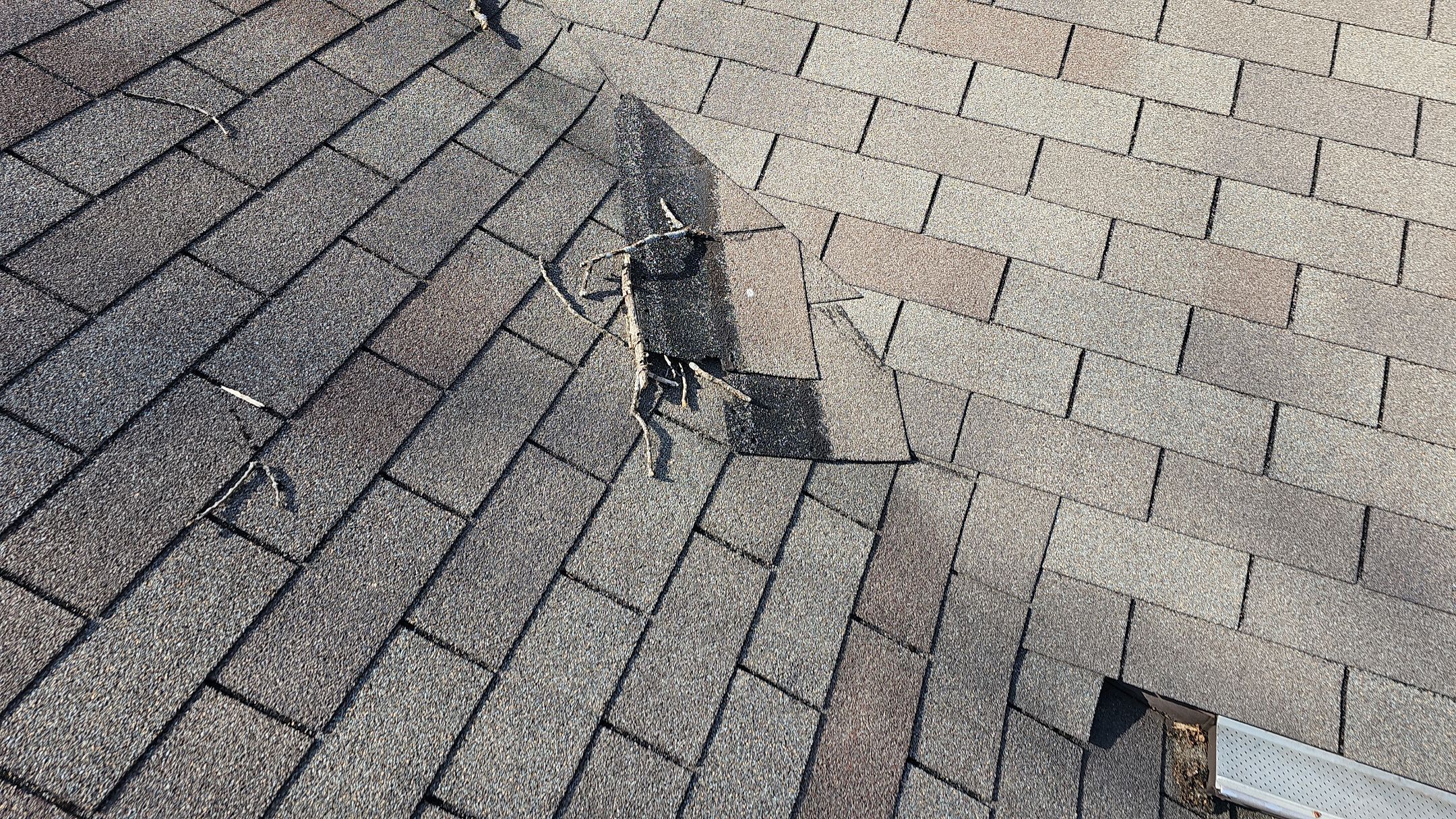 Atlas Pinnacle, Color, Copper Canyon, Drip Edge, Royal Brown by Eagle Eye Roofing