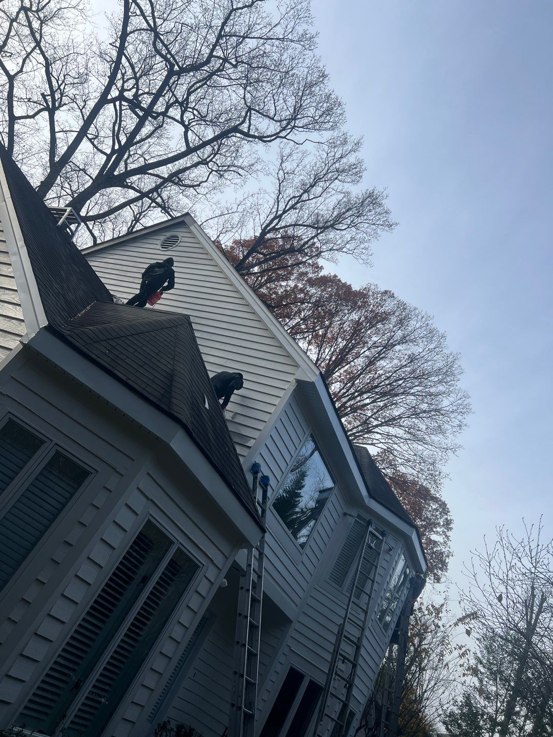 Arlington: Bevel Cedar Wood Siding Restoration by RM Banning, Inc.