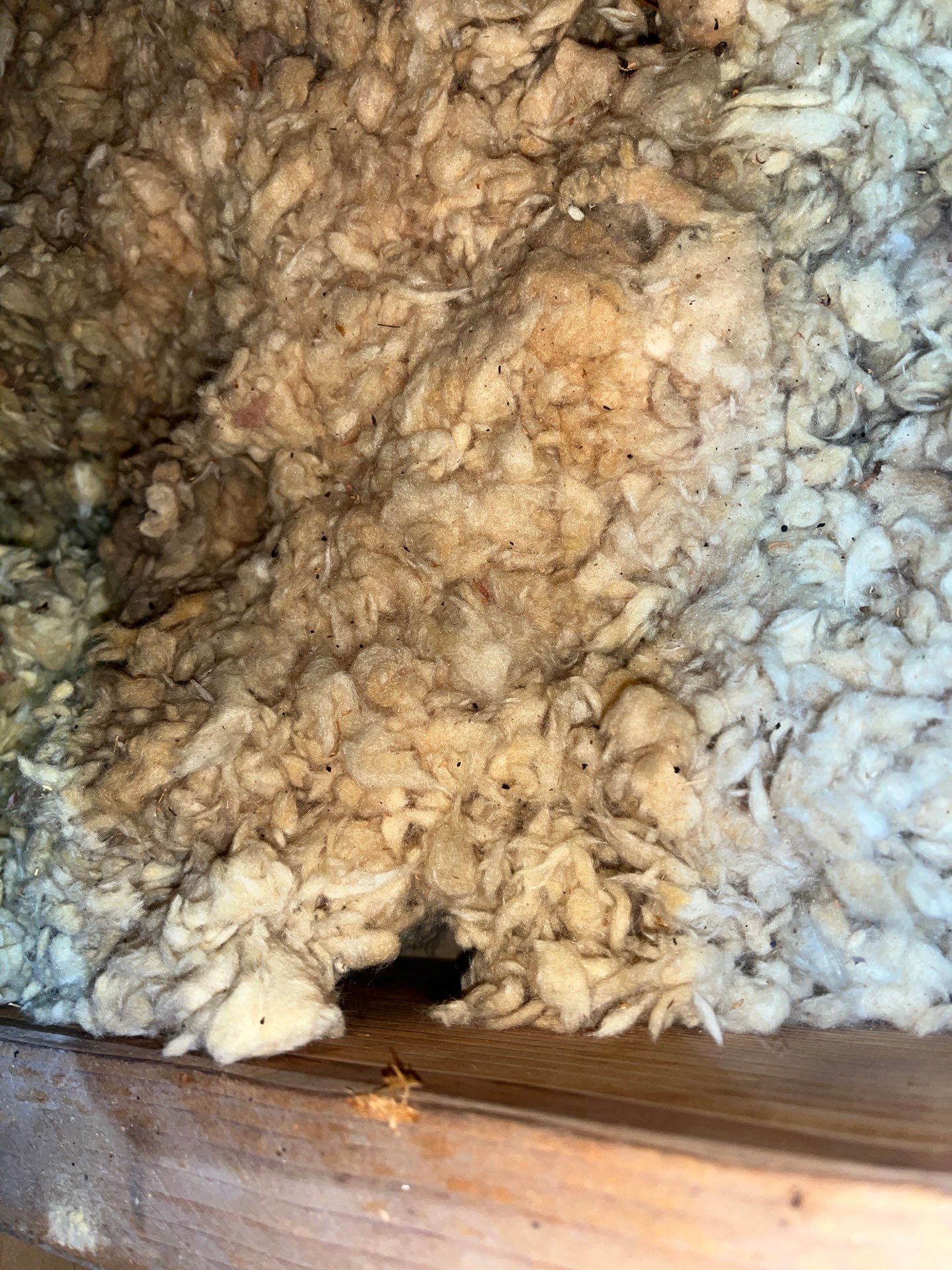 Fixing Attic Leaks and Restoring Insulation after Roof Work in Steubenville, OH by Home Environment Solutions