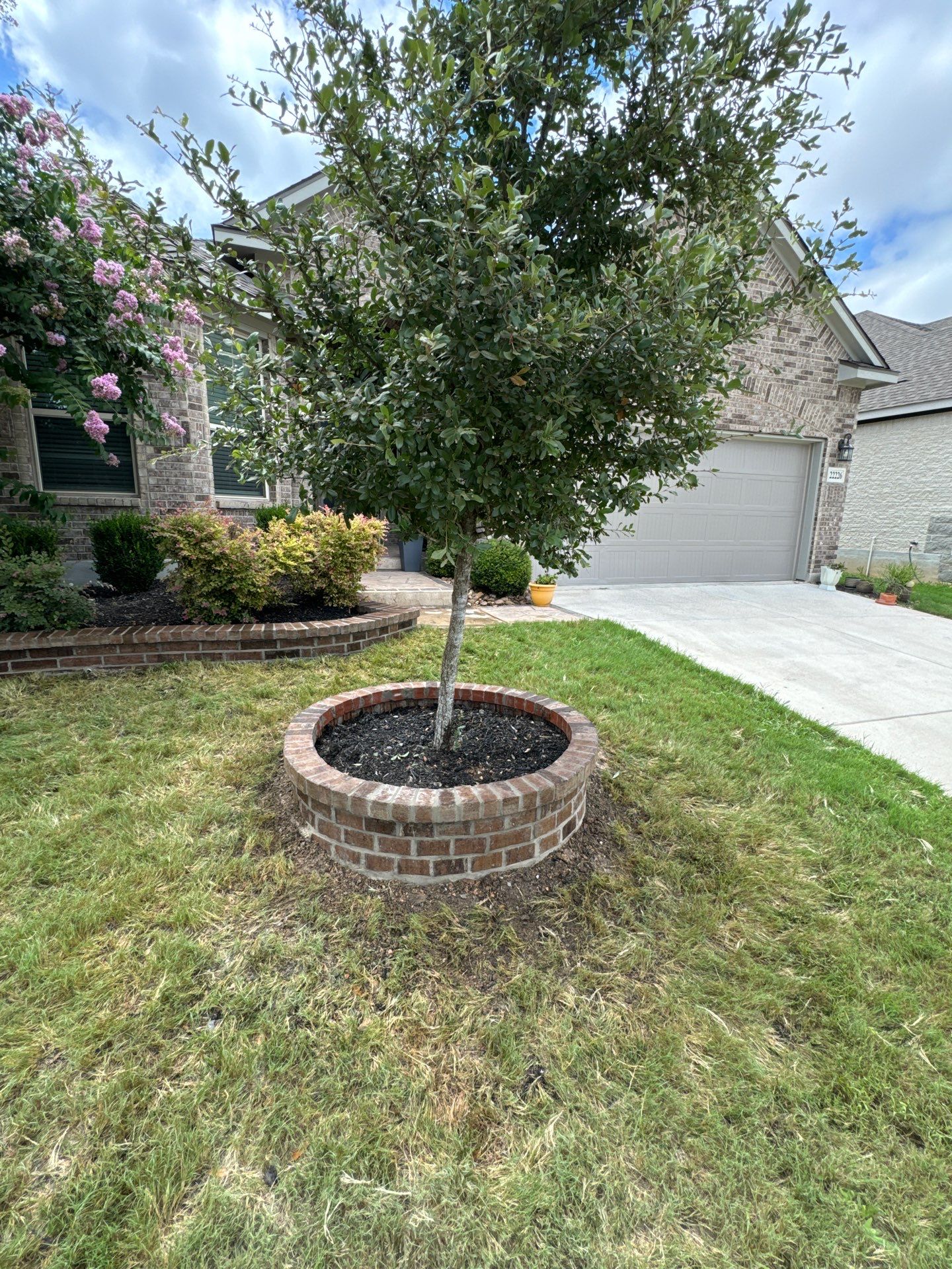 Wortham Oaks - San Antonio, TX by Hole In One Lawns, LLC