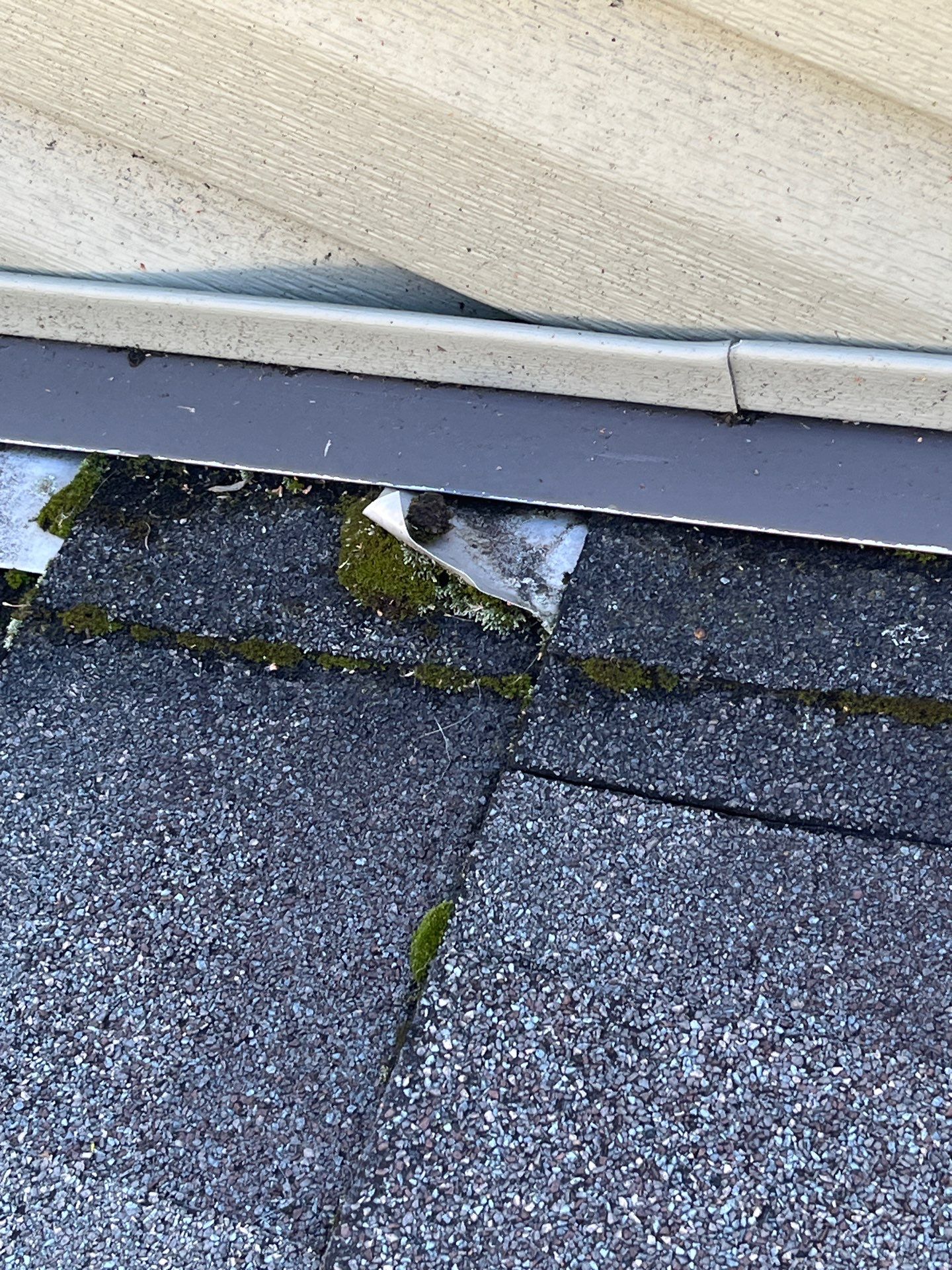 Roof Replacement using Owens Corning Summer Harvest by 180 Contractors