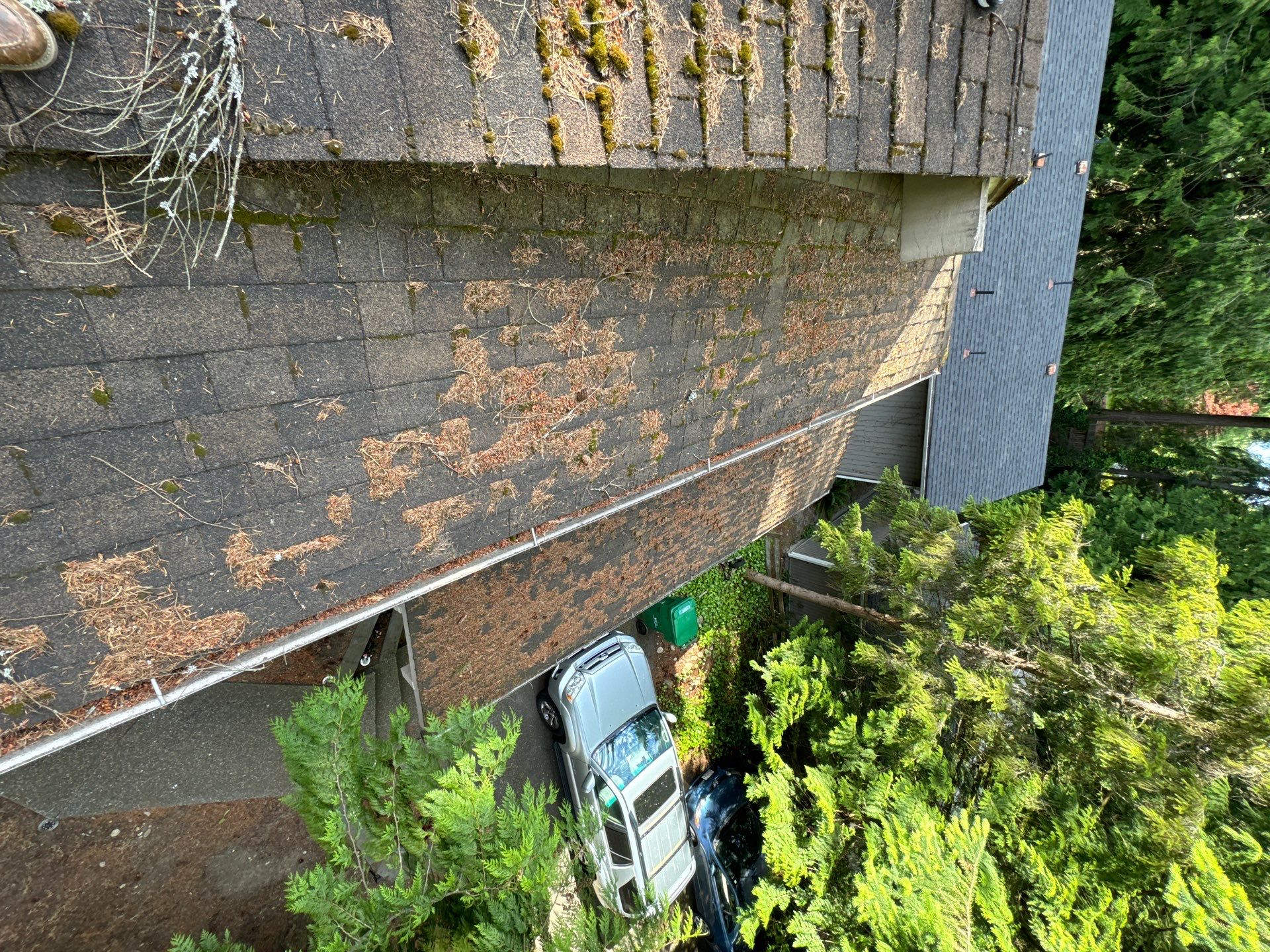 Project in Edmonds by Peaks and Valleys Construction