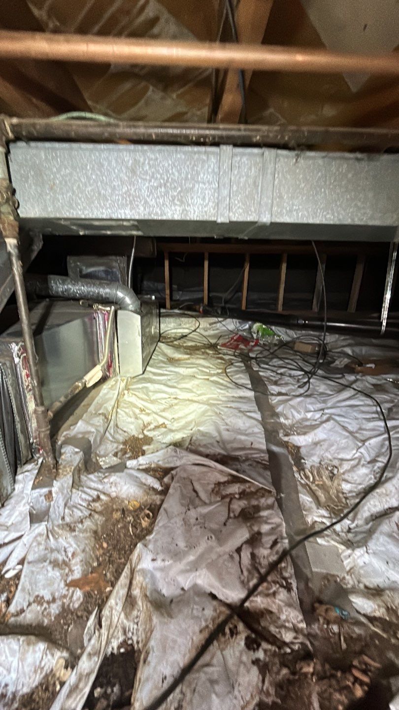 Sewage Backup by Accountable Home Services