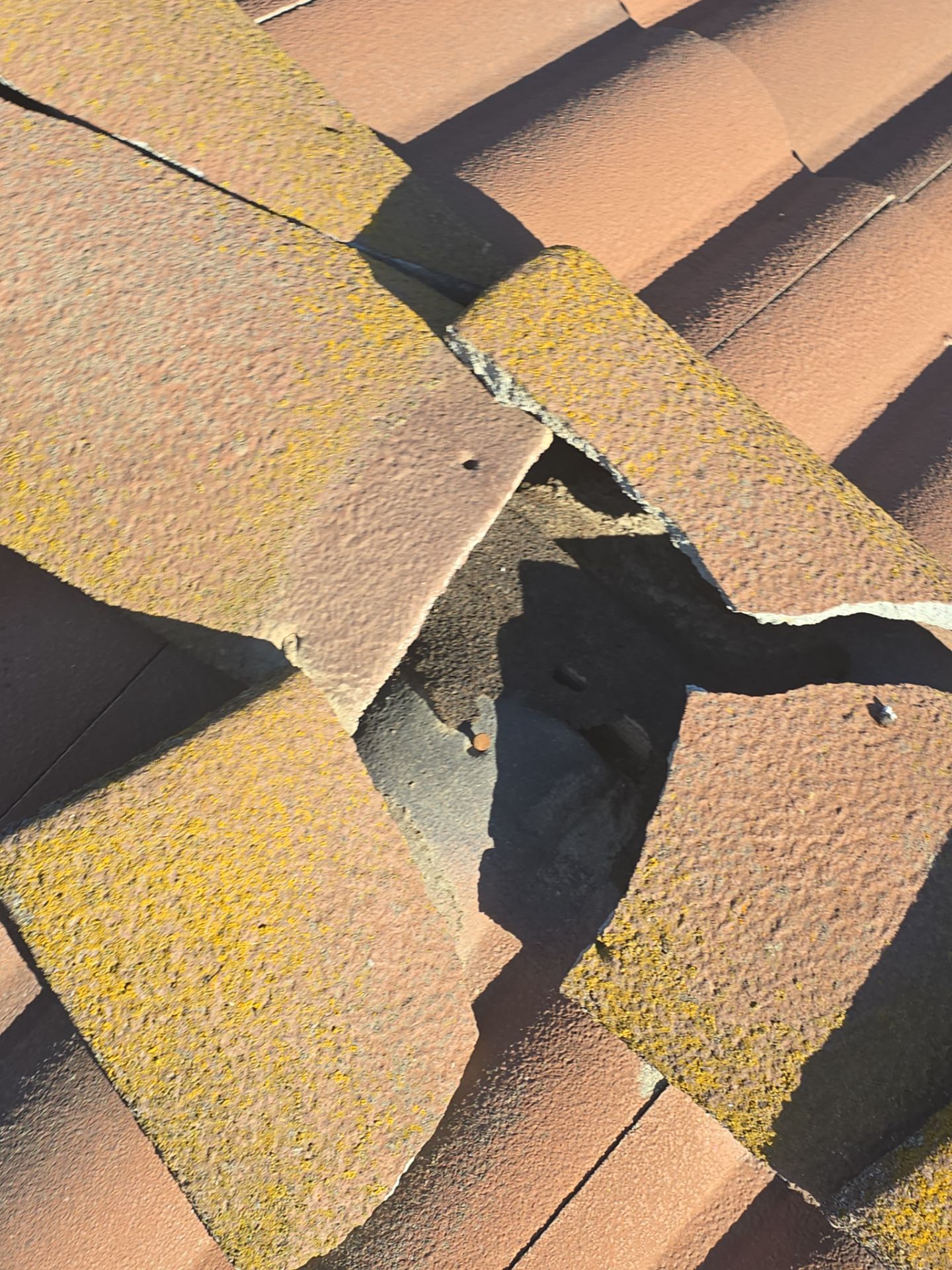 Tile Roof repair by Grandmark Service Company