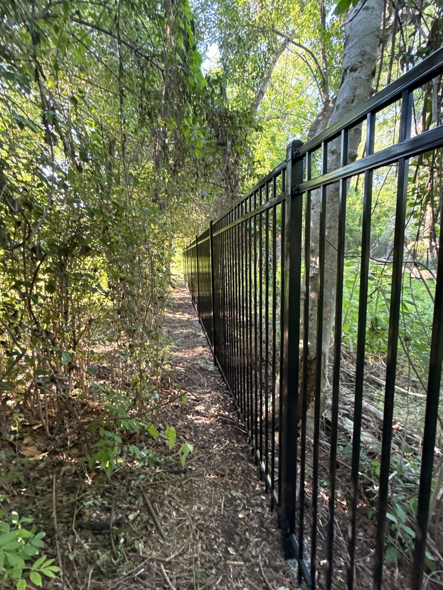 Timeless Style with Ameristar Ornamental Iron Fencing by Tim's Fences