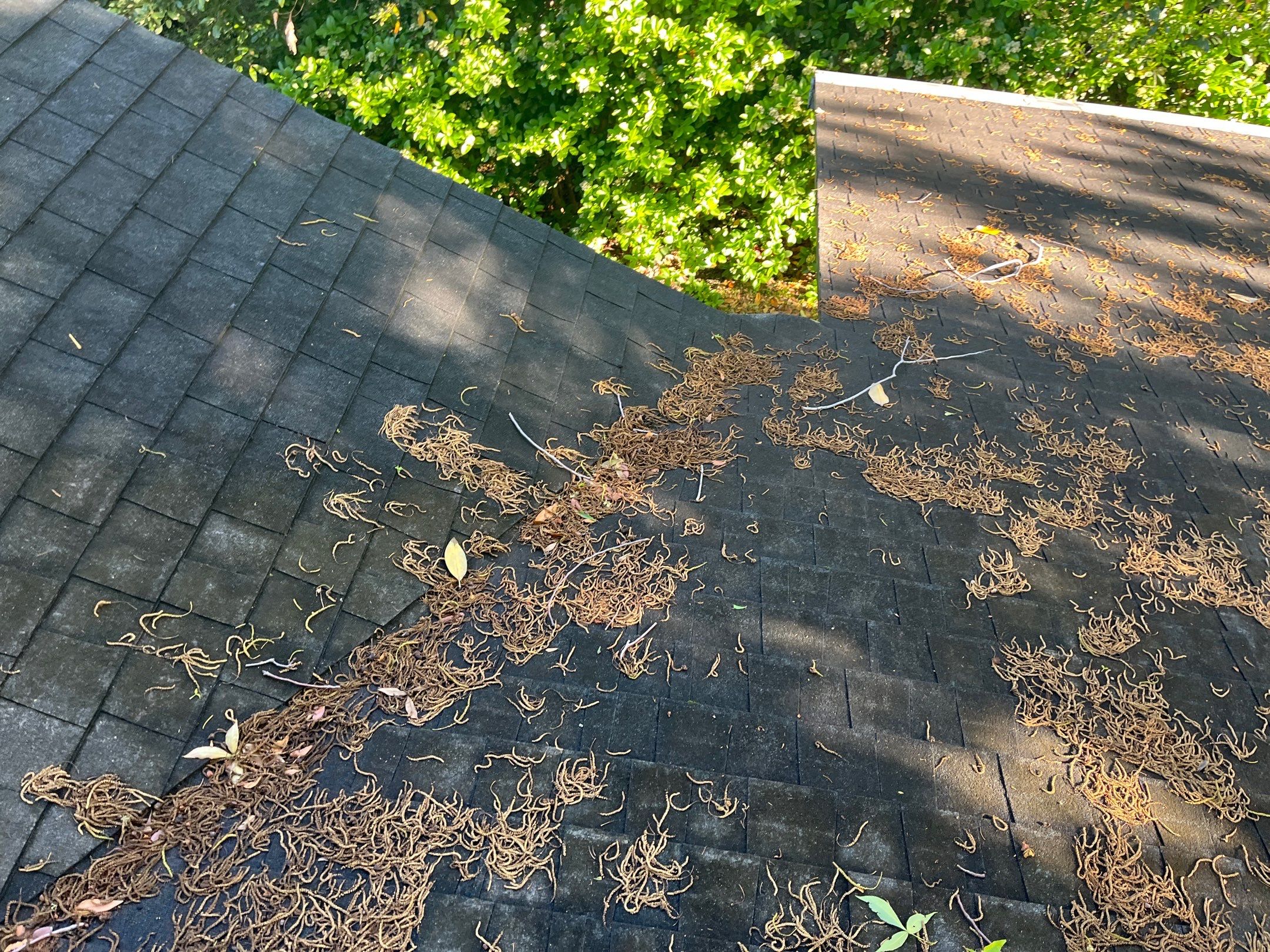 Shingle -> Metal by Prime Roofing
