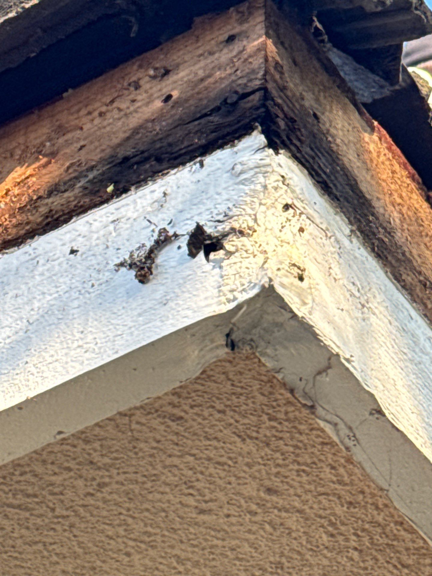 Solar Roof Leak Repair  by Grandmark Service Company