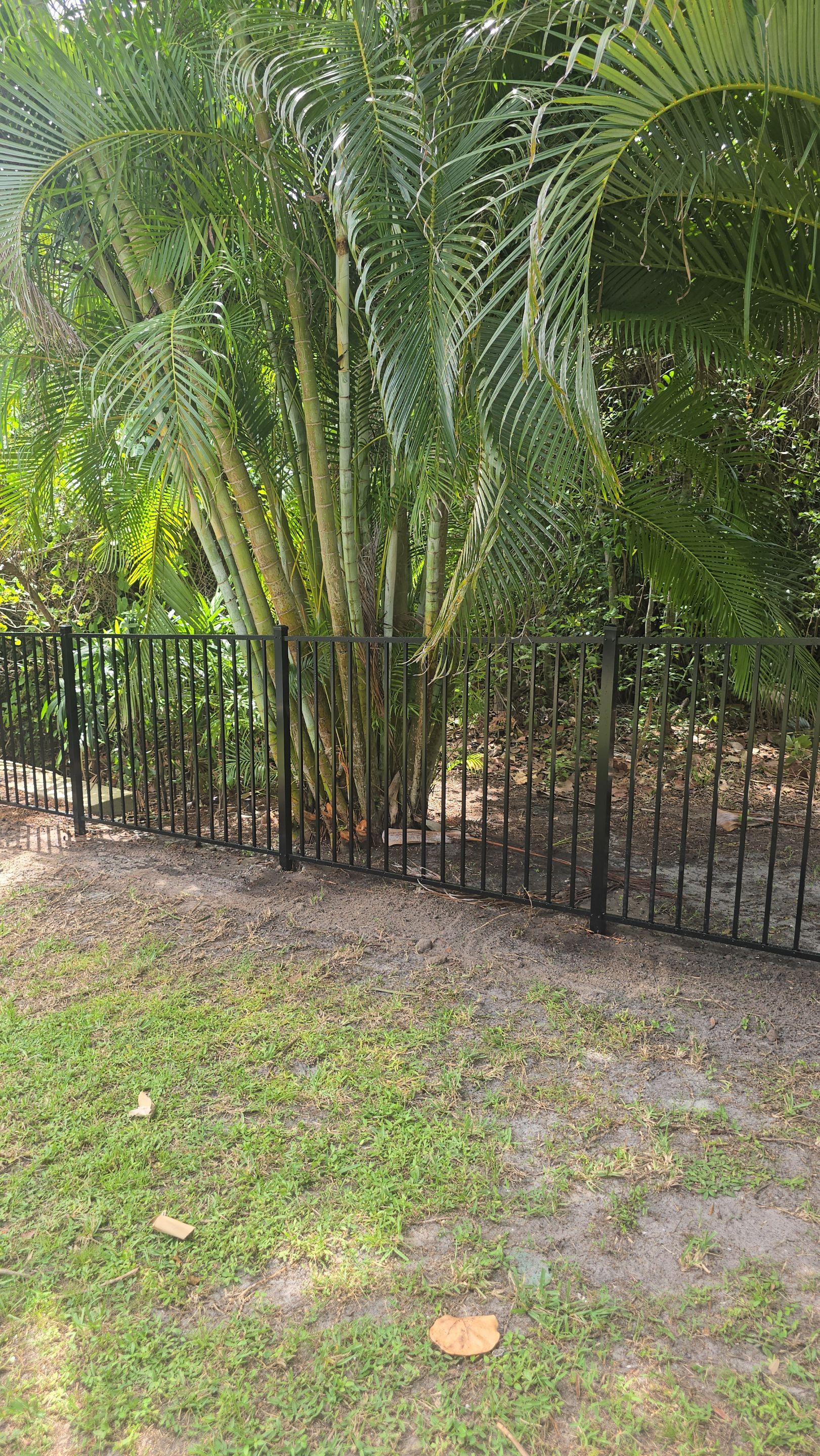 Black Aluminum Picket Fence Installation for Port Charlotte Canal Home by True Fence LLC