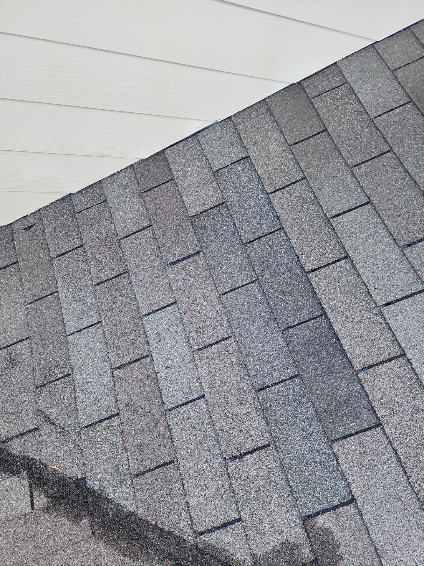 Roof Repair Spring by Roof Repair Company