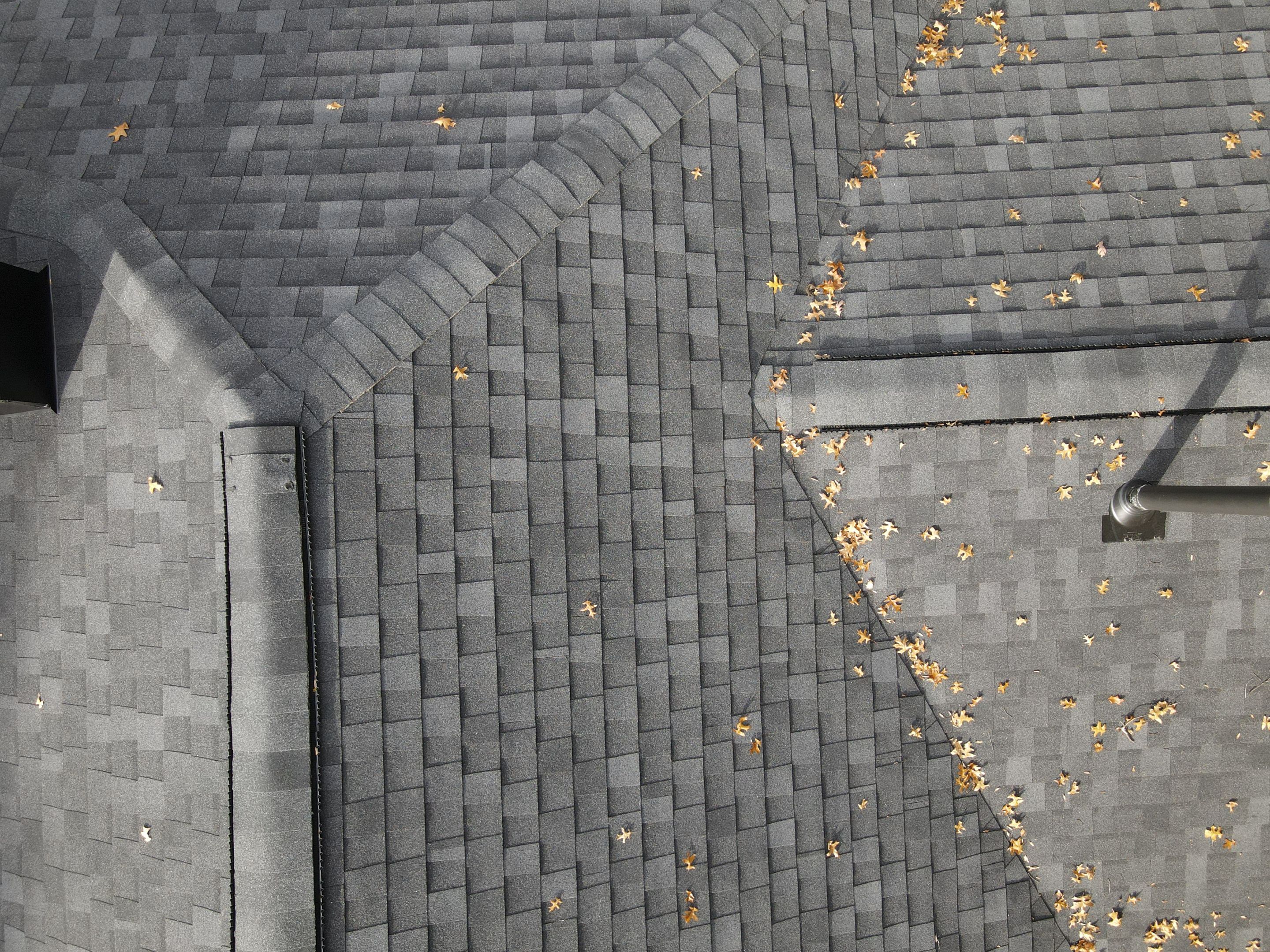 Brand Atlas Pinnacle Color: Pristine Scotchgard Black Drip: Black by Eagle Eye Roofing