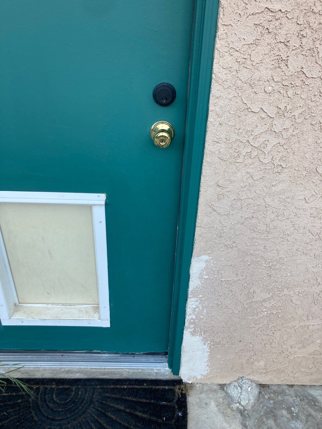 Repair Door Face by Andre Handyman