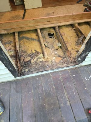 Got Rot?
