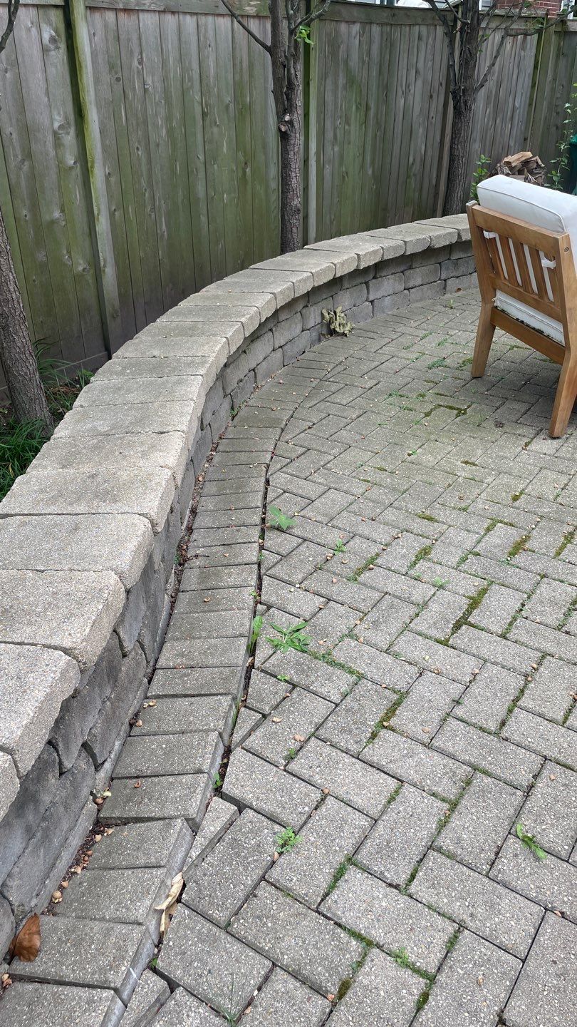 Brick patio repair, clean sand and seal by Northern Power Washing LLC.