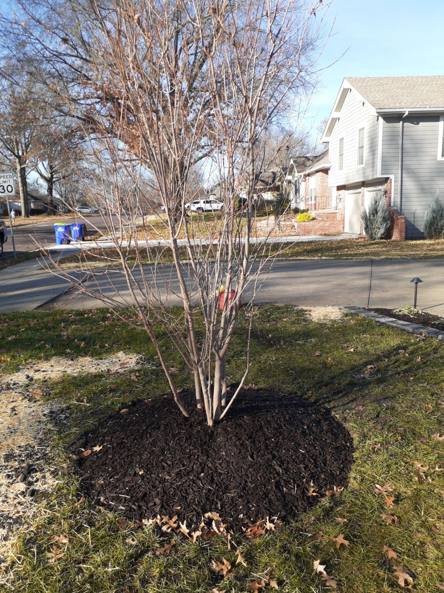 Entire Home Landscape and Retaining Walls by LAND ESCAPES LLC