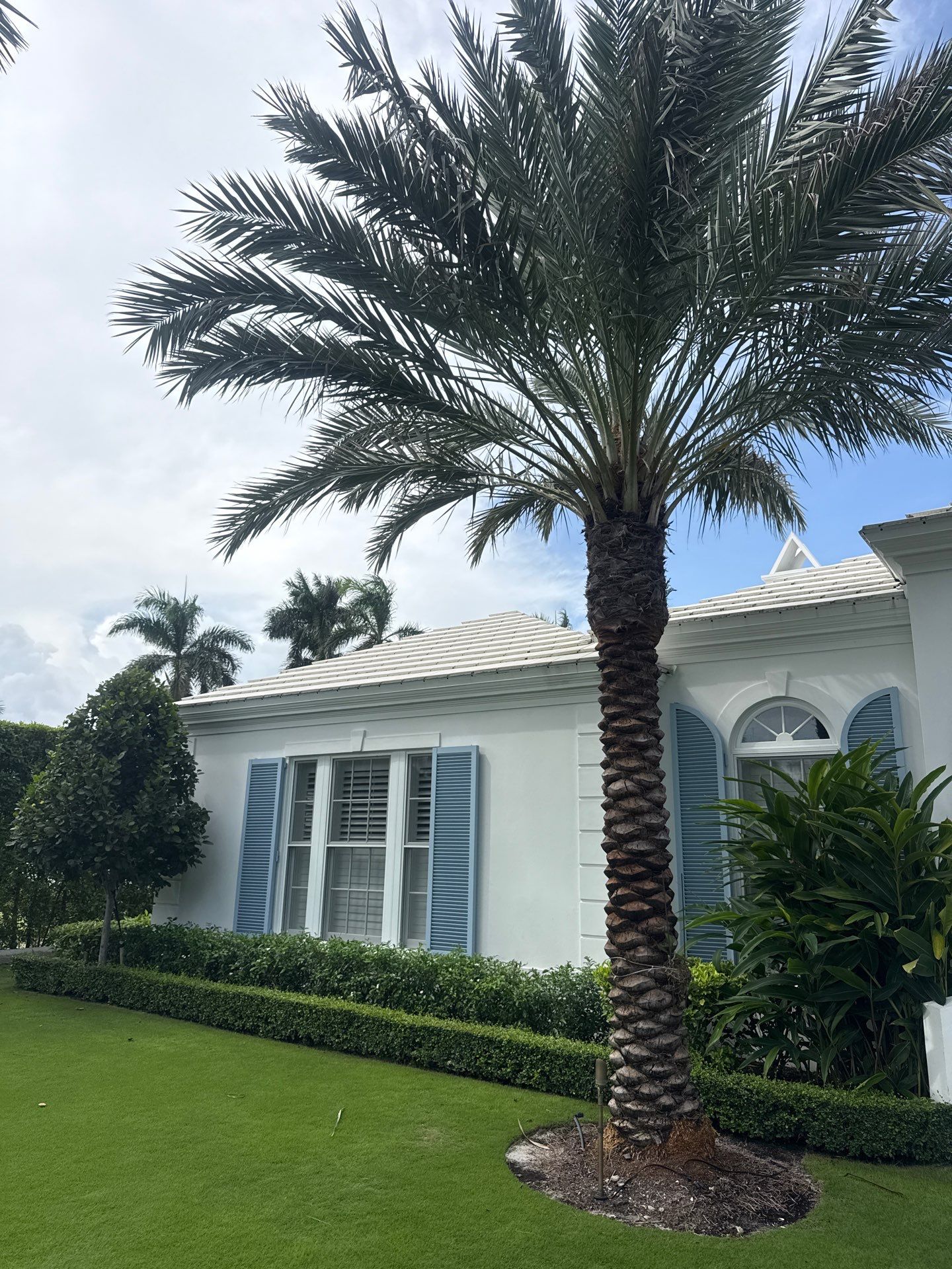 Project in Palm Beach, FL by The Decorative Surfacing Group